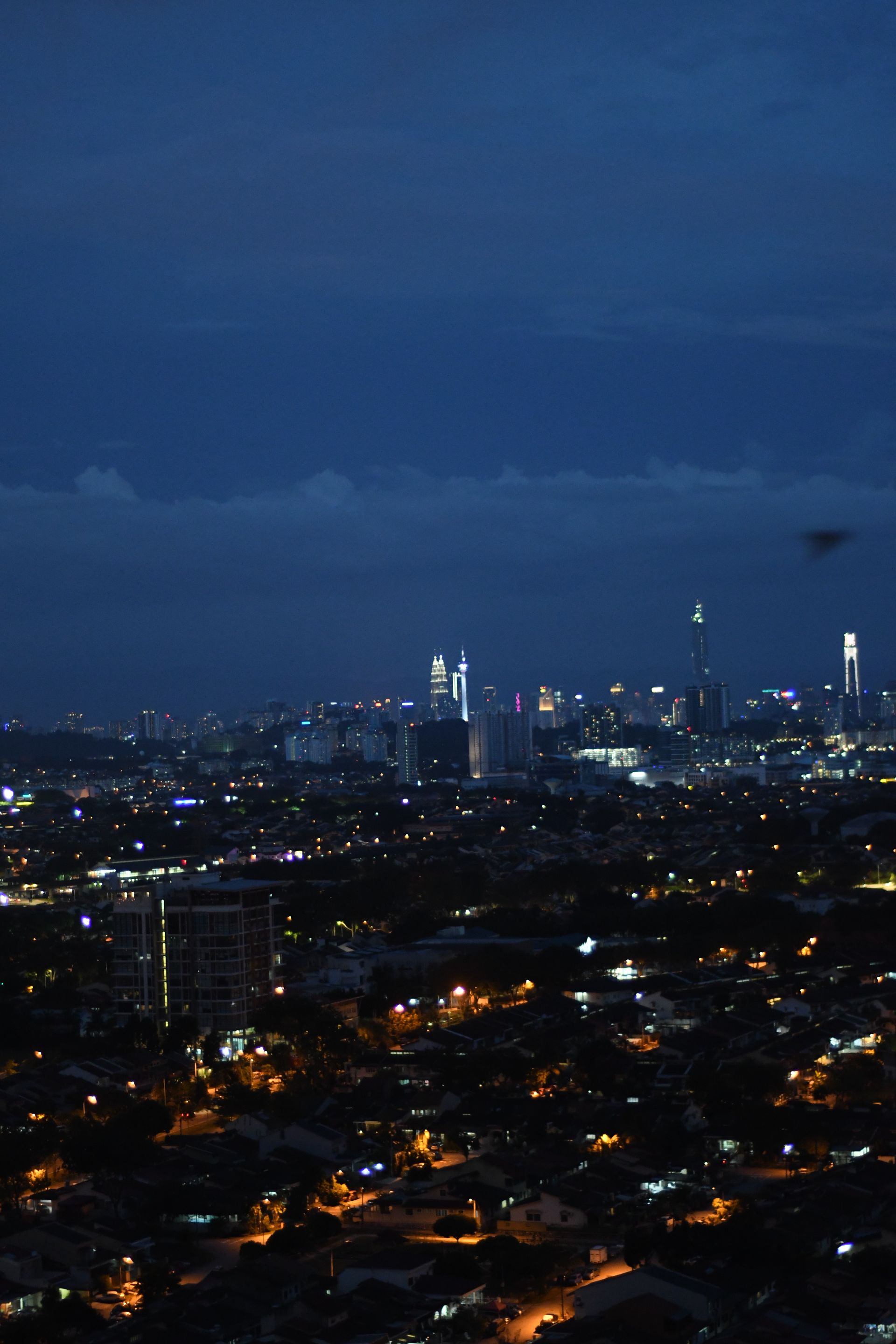 DSC_1447.JPG
