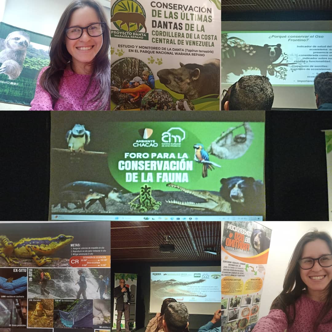 WhatsApp Image 2025-10-05 at 12.34.30 AM.jpeg