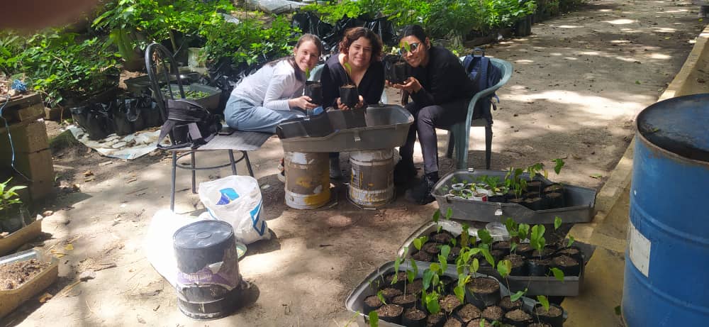10 de julio siembra de robles en el vivero servicio comunitario (3).jpeg