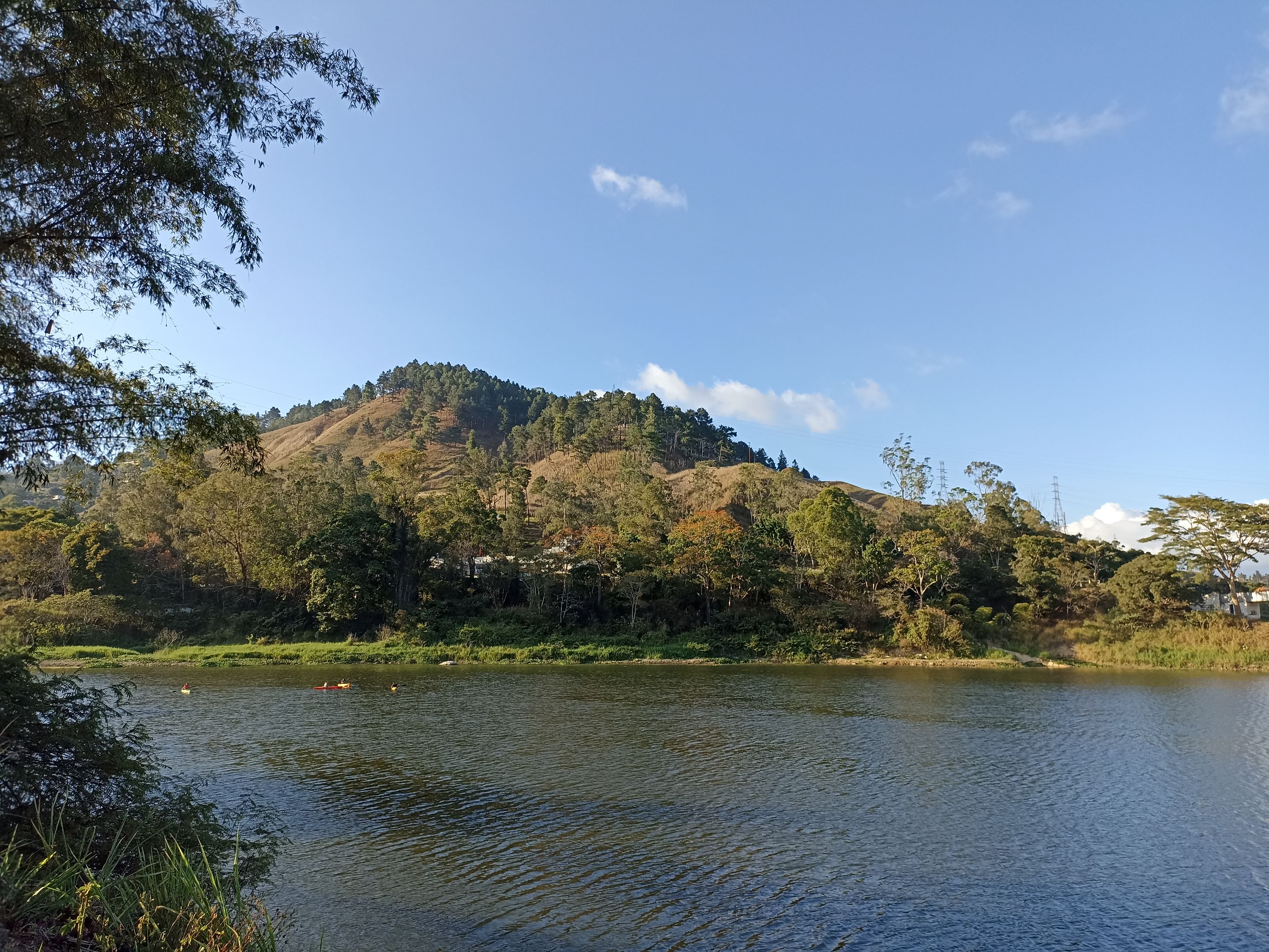 IMG_20230304_171950.jpg