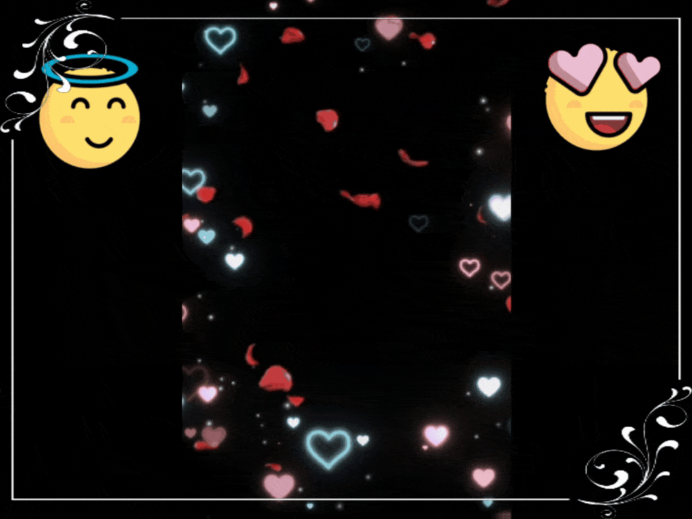 GIF-231210_111548.gif