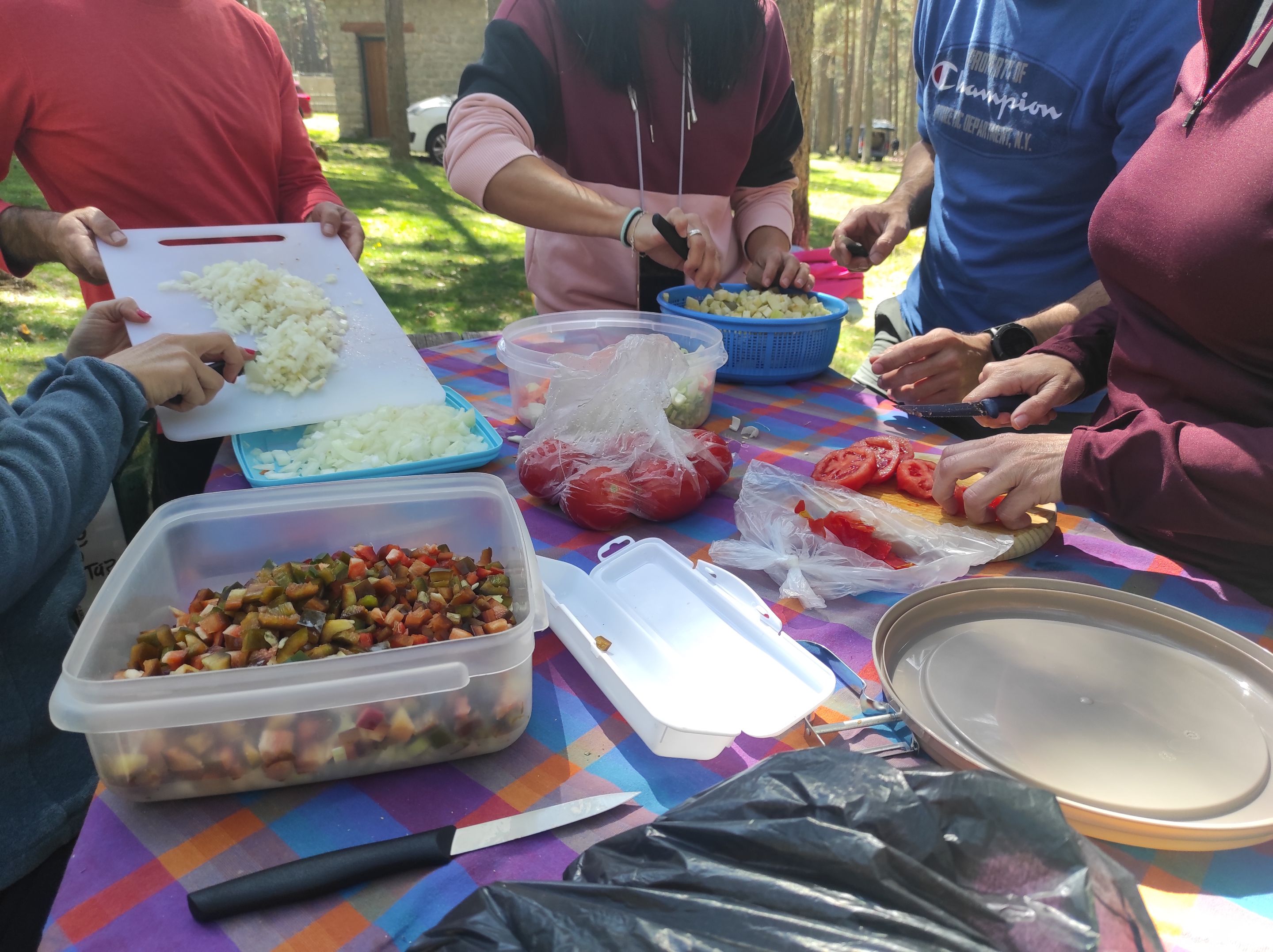 IMG_20230408_135611.jpg