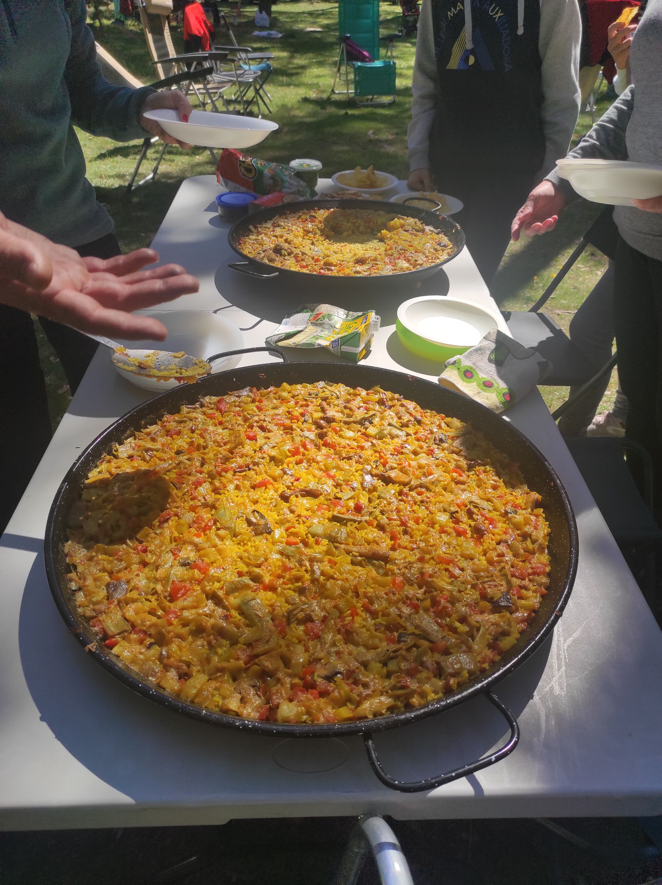 IMG_20230408_153557.jpg