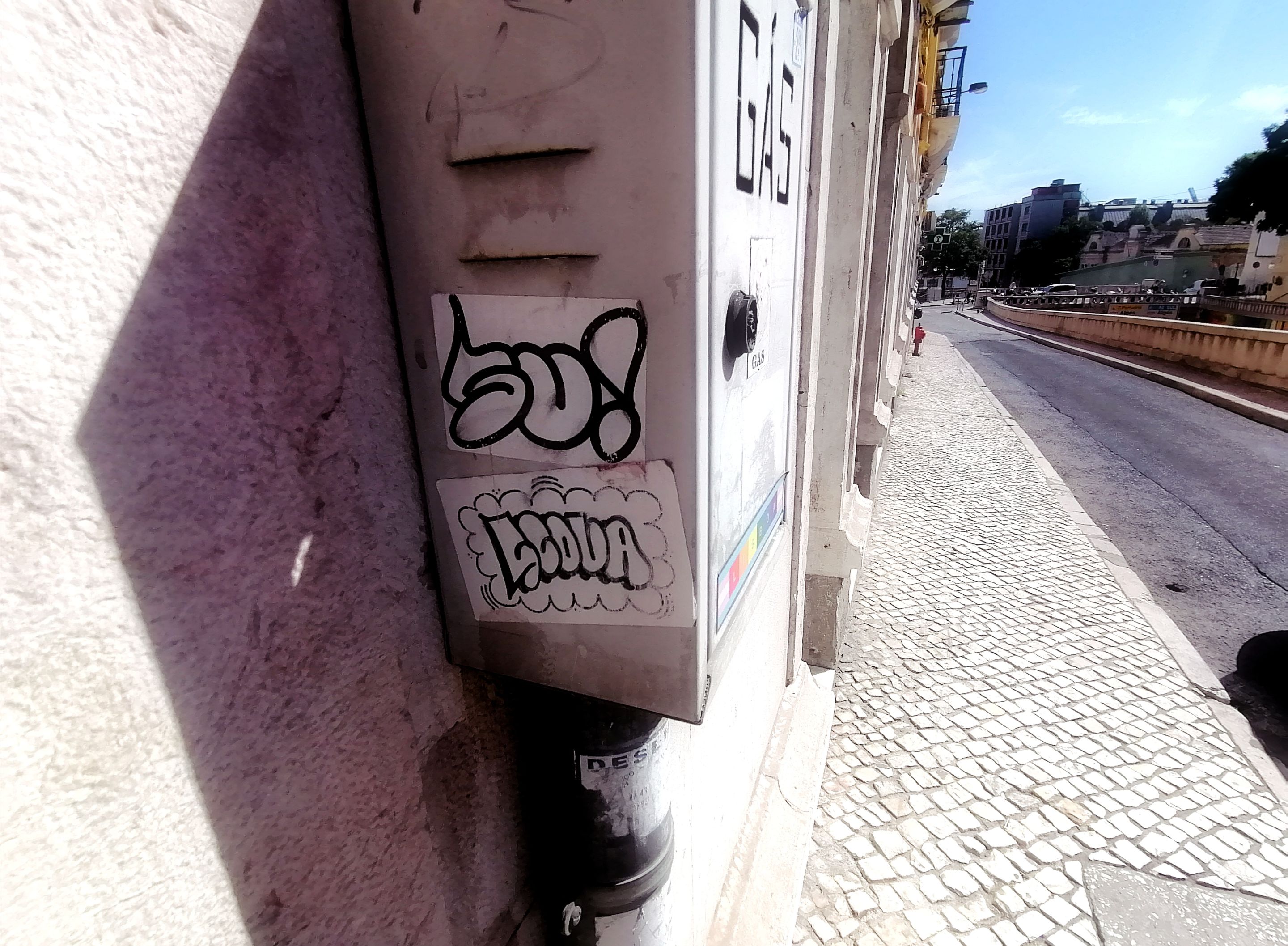 IMG_20220914_161748.jpg
