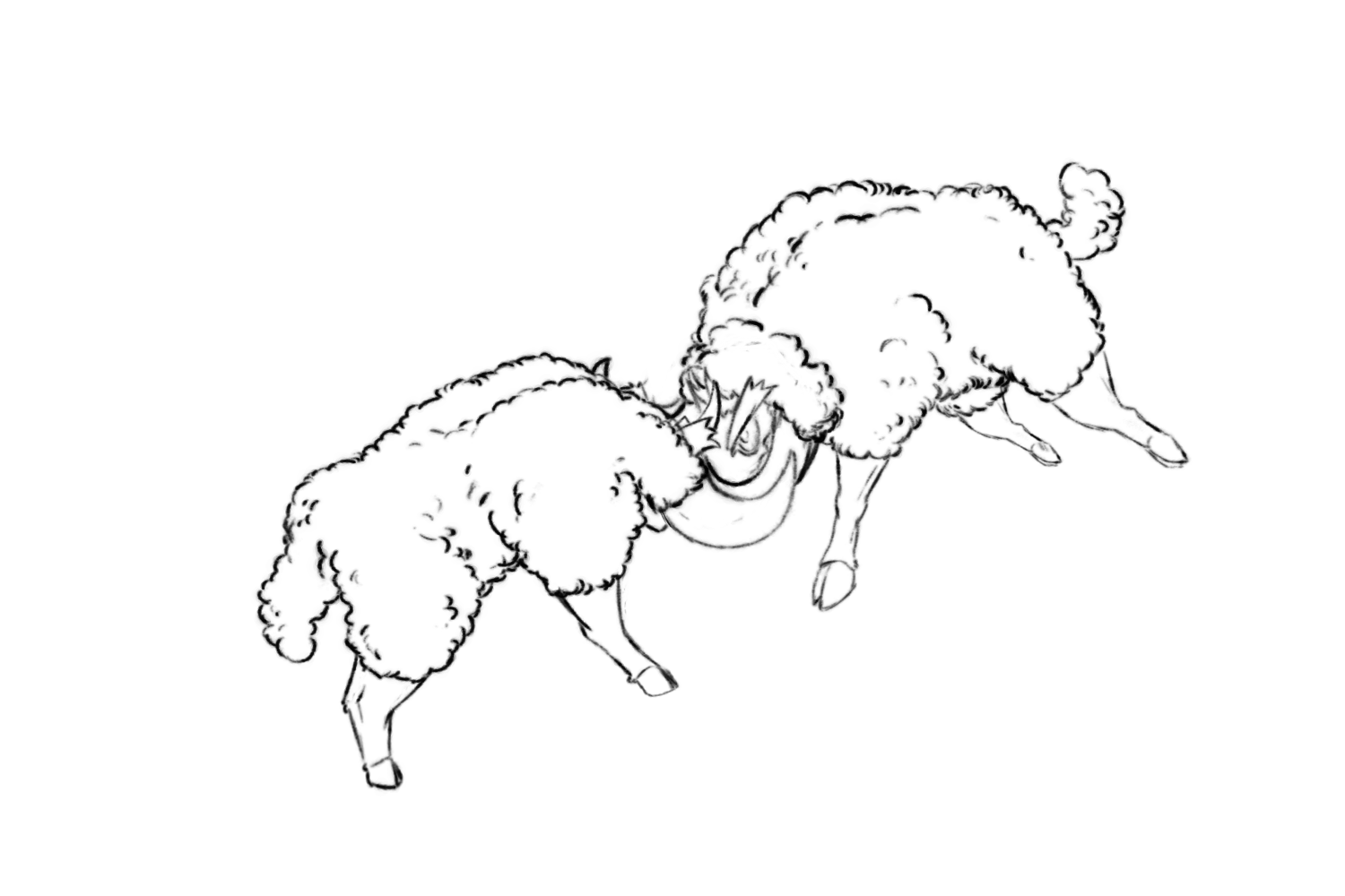 02.png