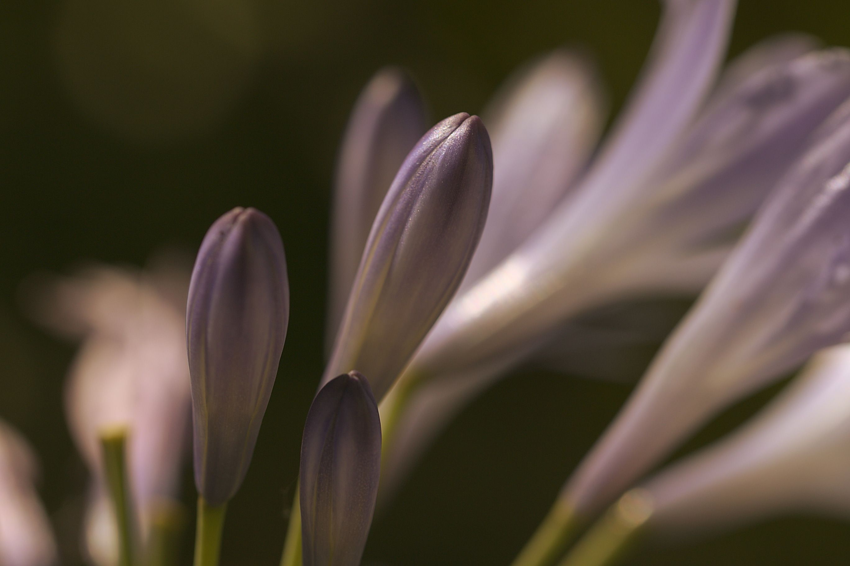 eyeemfiltered1631469137497.jpg