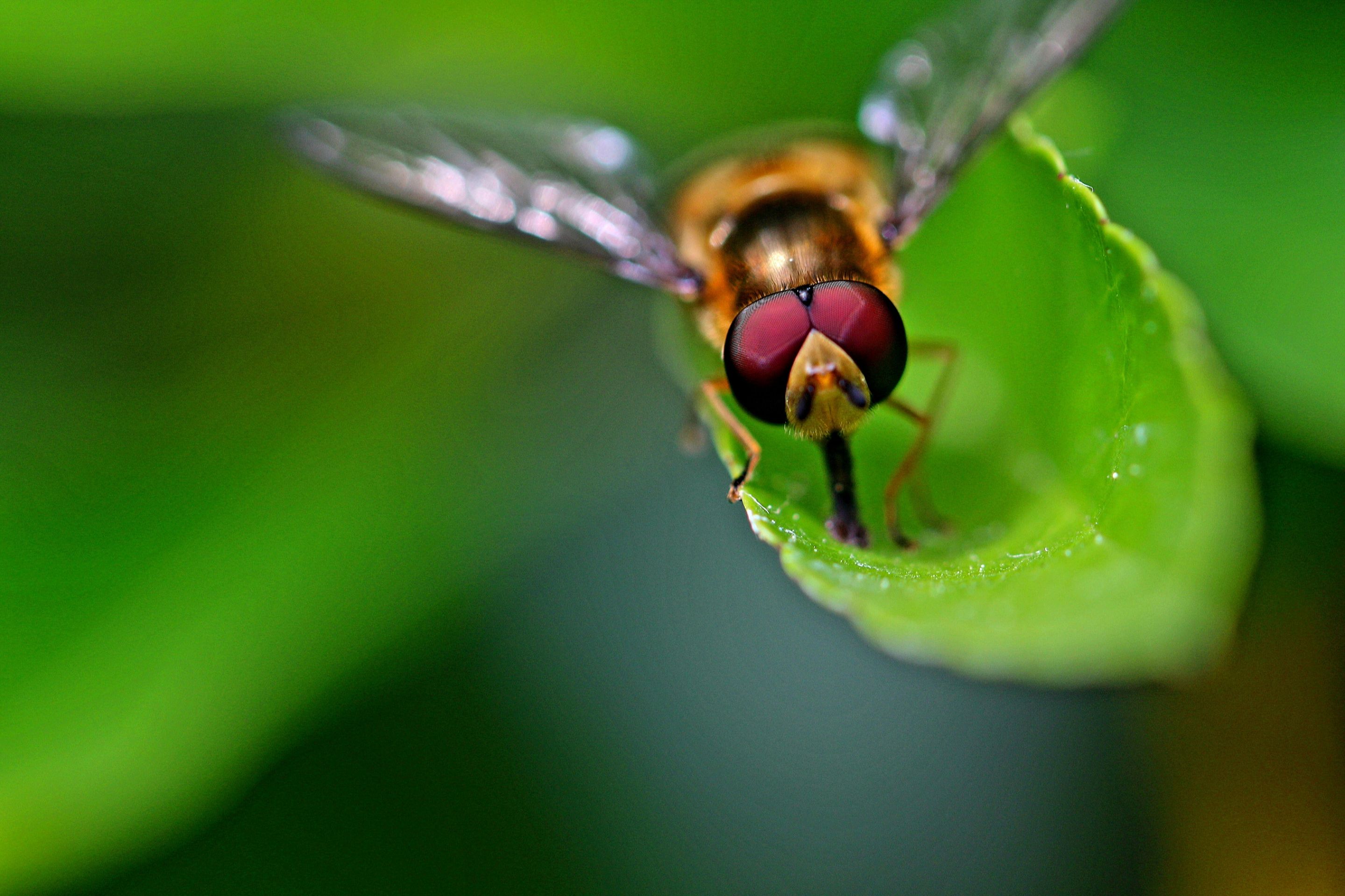 eyeemfiltered1589990229561.jpg