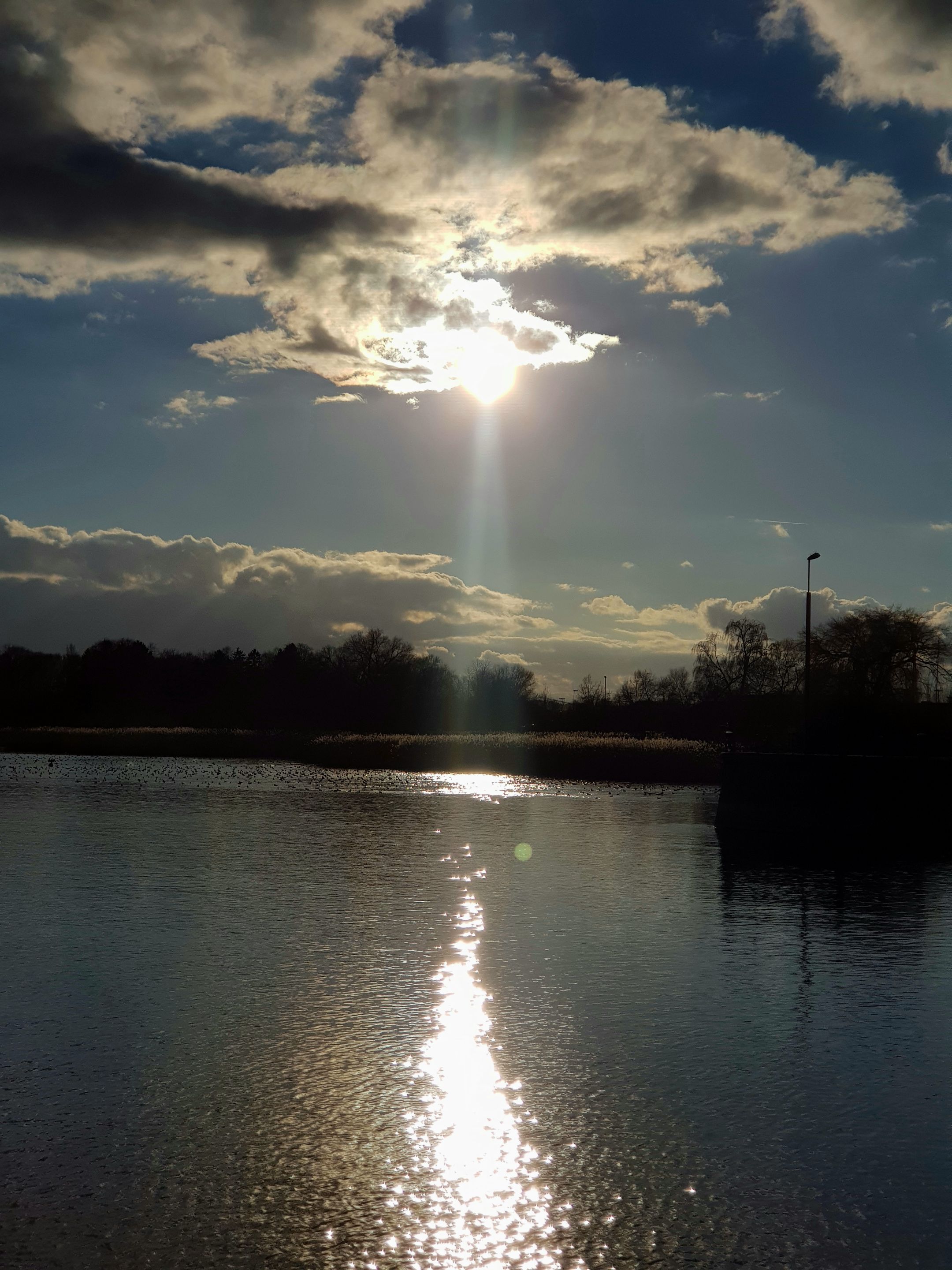 20220130_213228.jpg