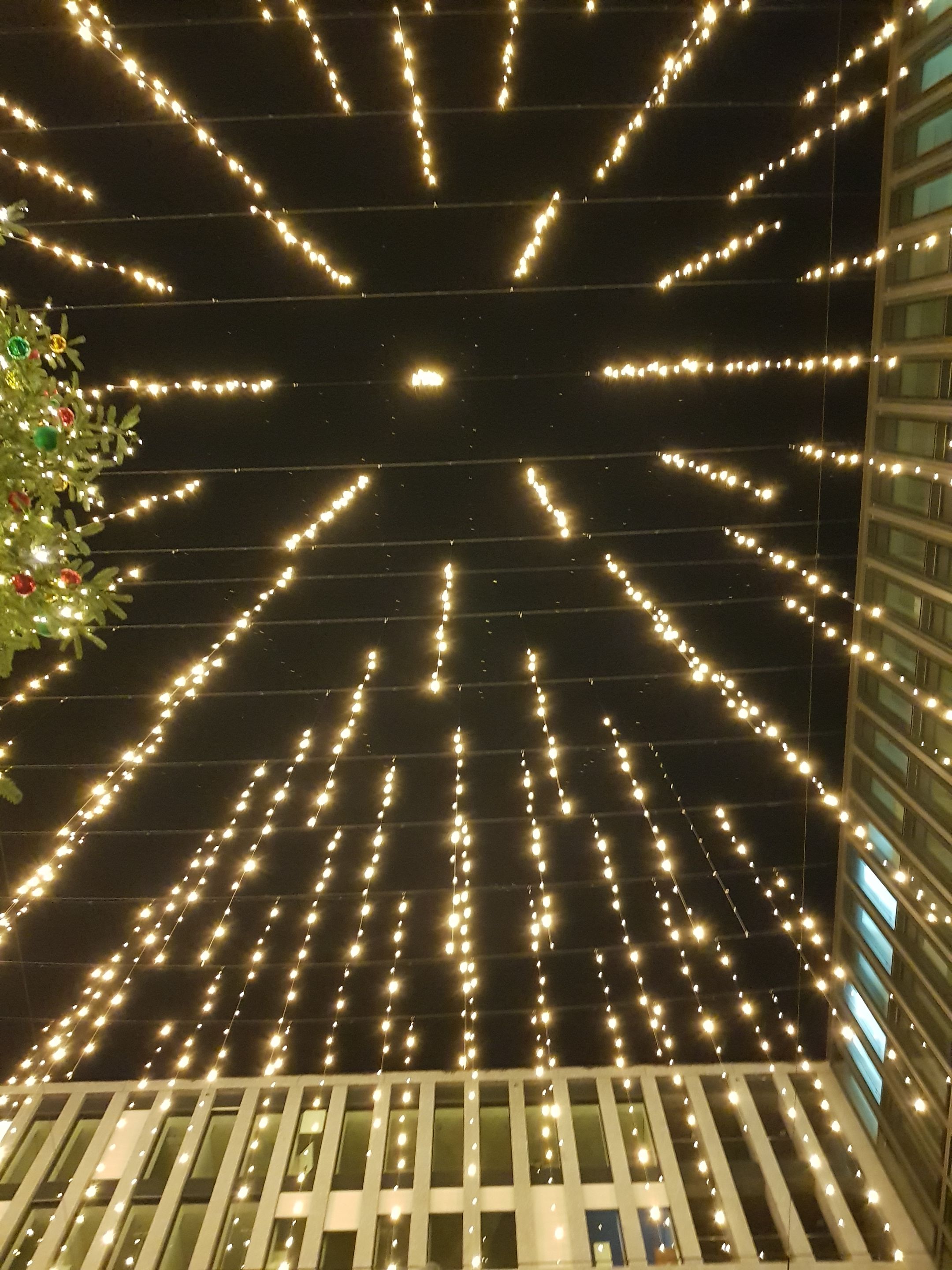 20201231_215623.jpg