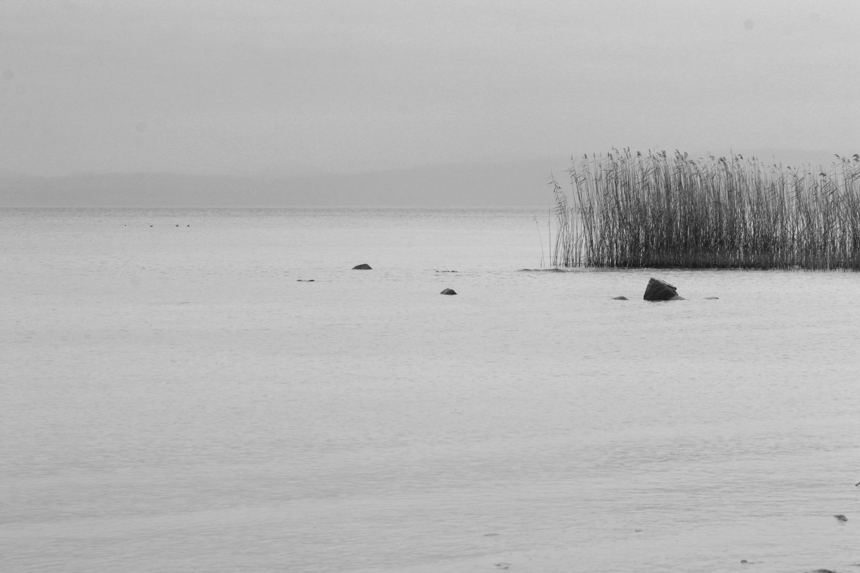 eyeemfiltered1577309416508.jpg