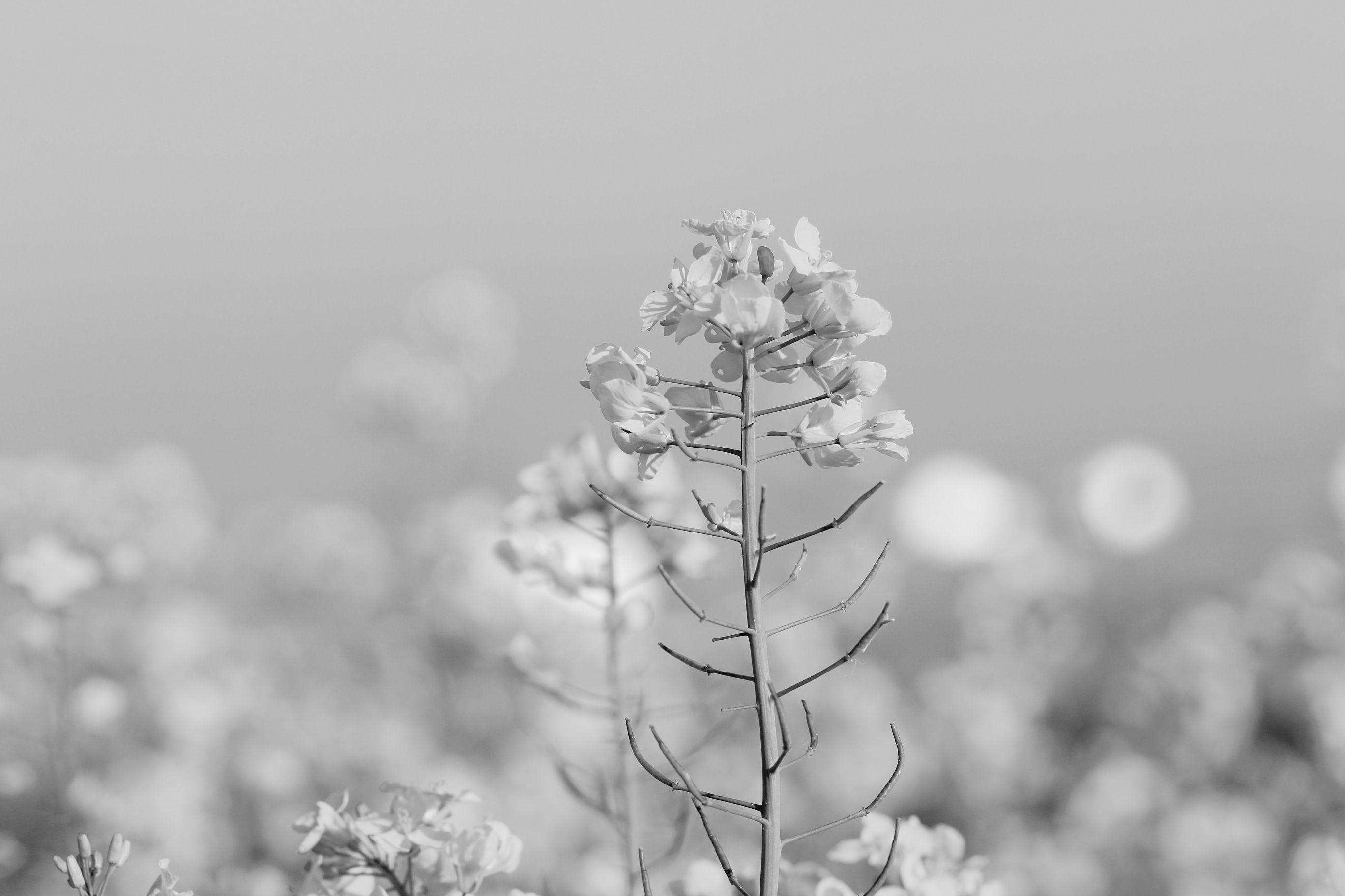 eyeemfiltered1559500496044.jpg