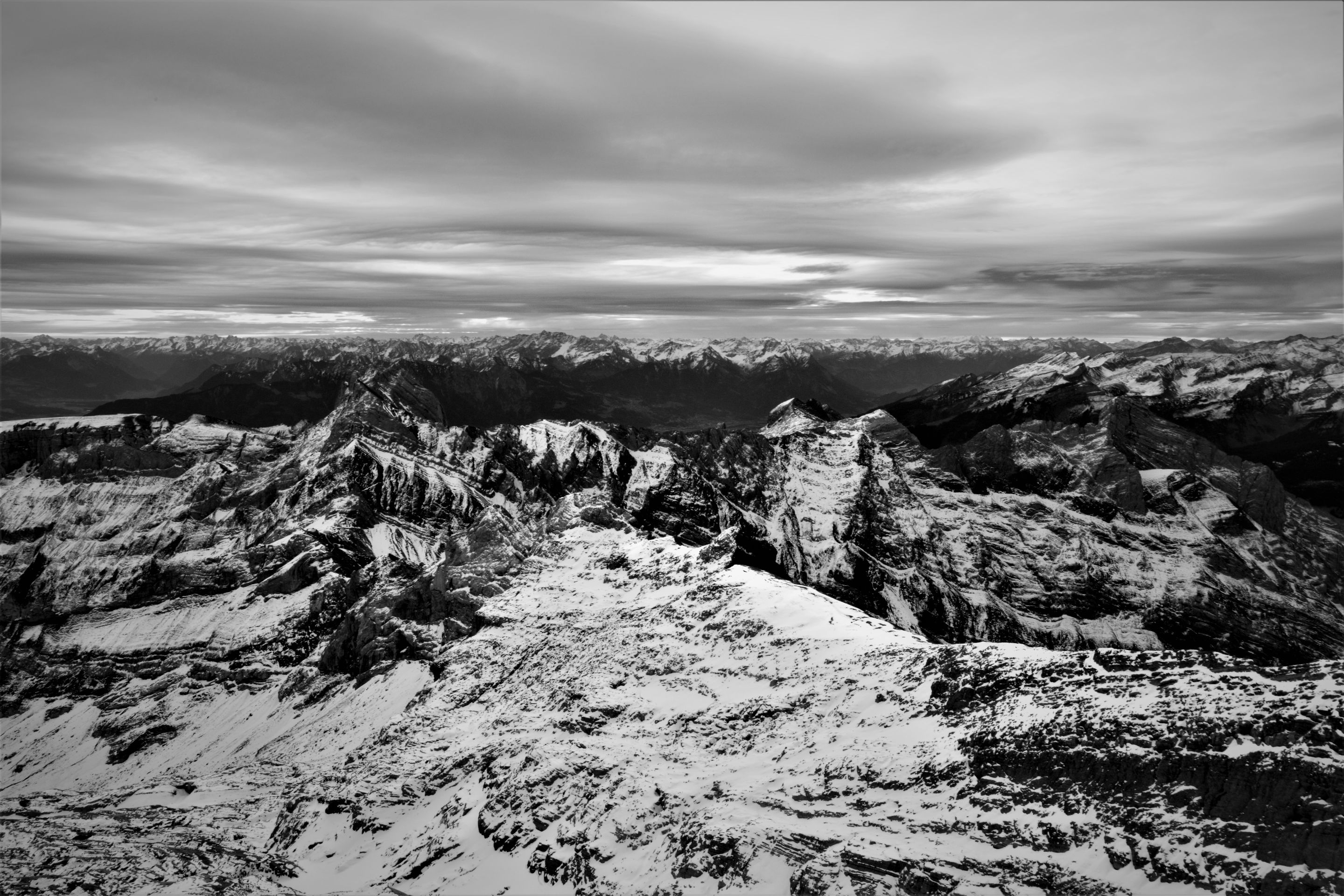 IMG_8432 (2).jpg
