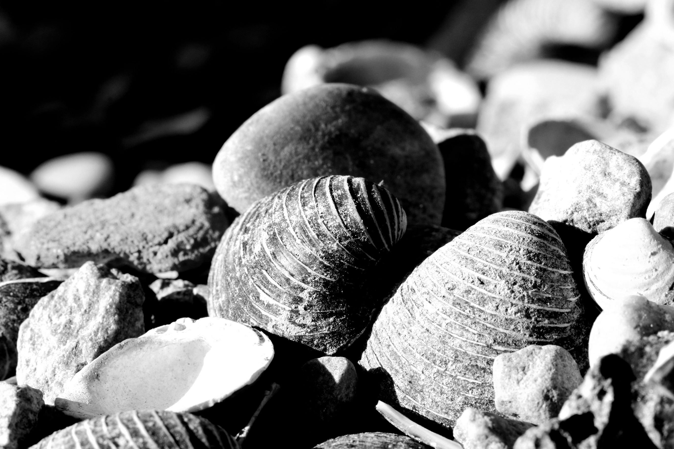 20180929_104620.jpg
