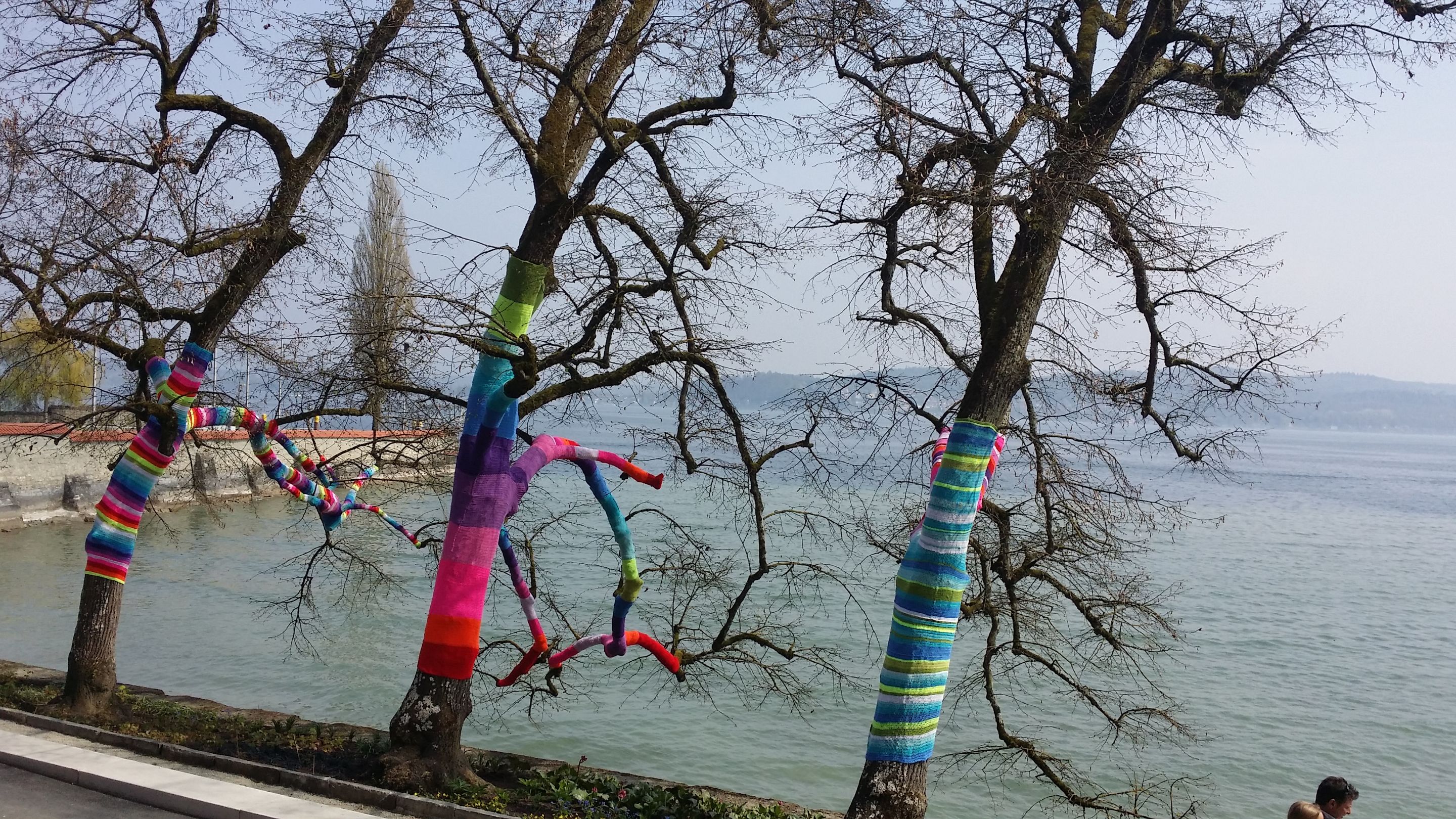 20140412_122024.jpg