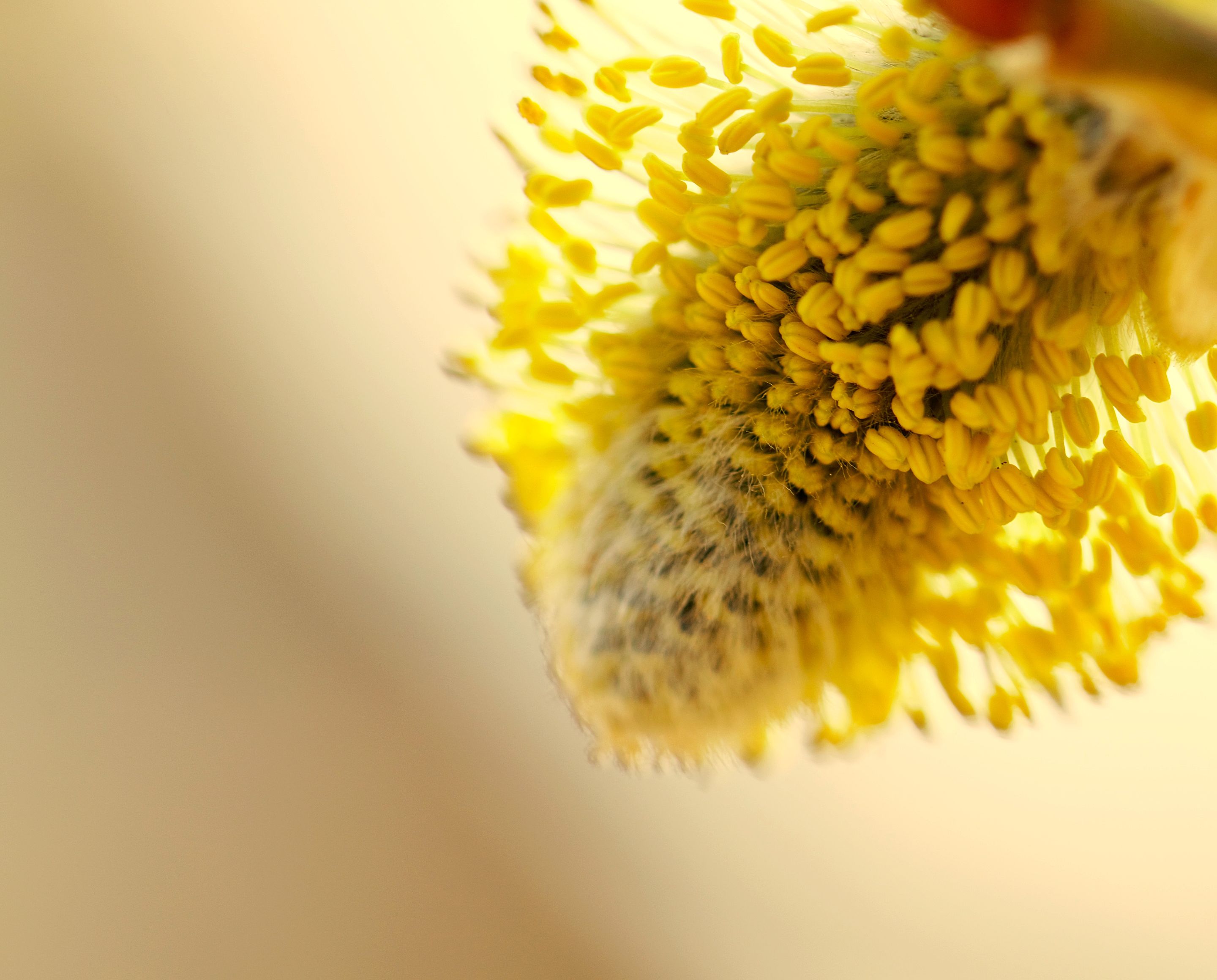 eyeemfiltered1648406897645.jpg