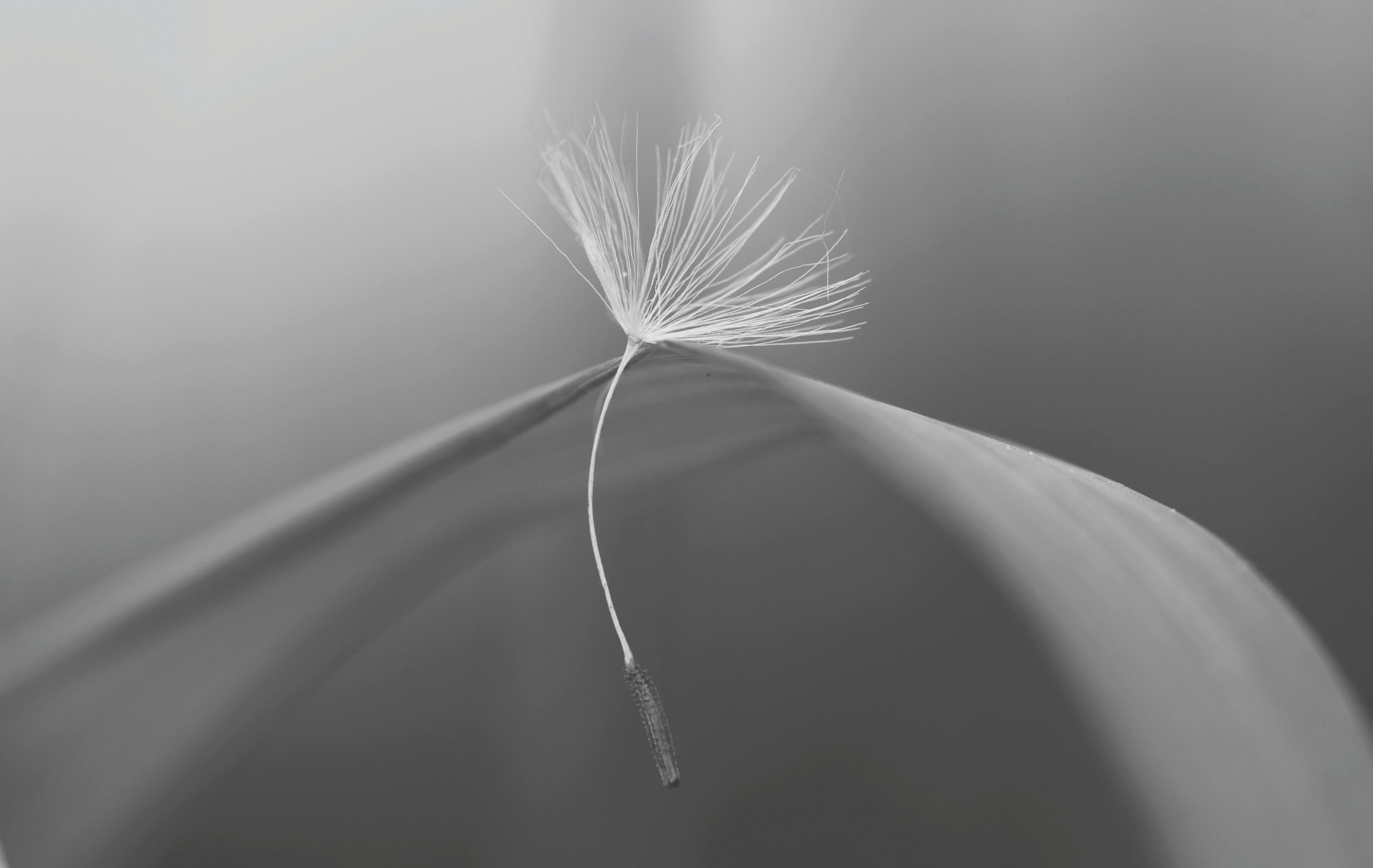 20190515_165835.jpg