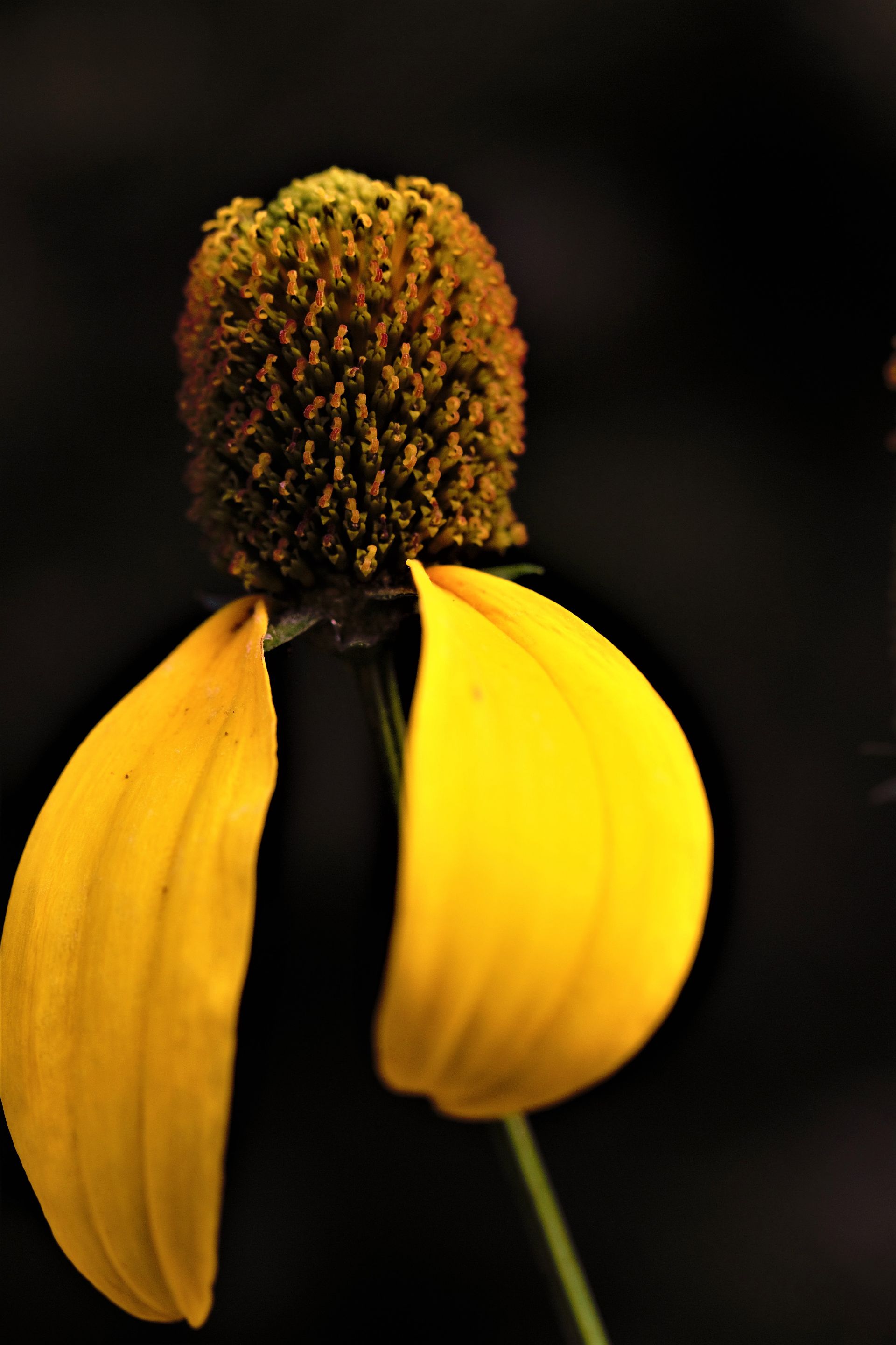eyeemfiltered1632304827950.jpg