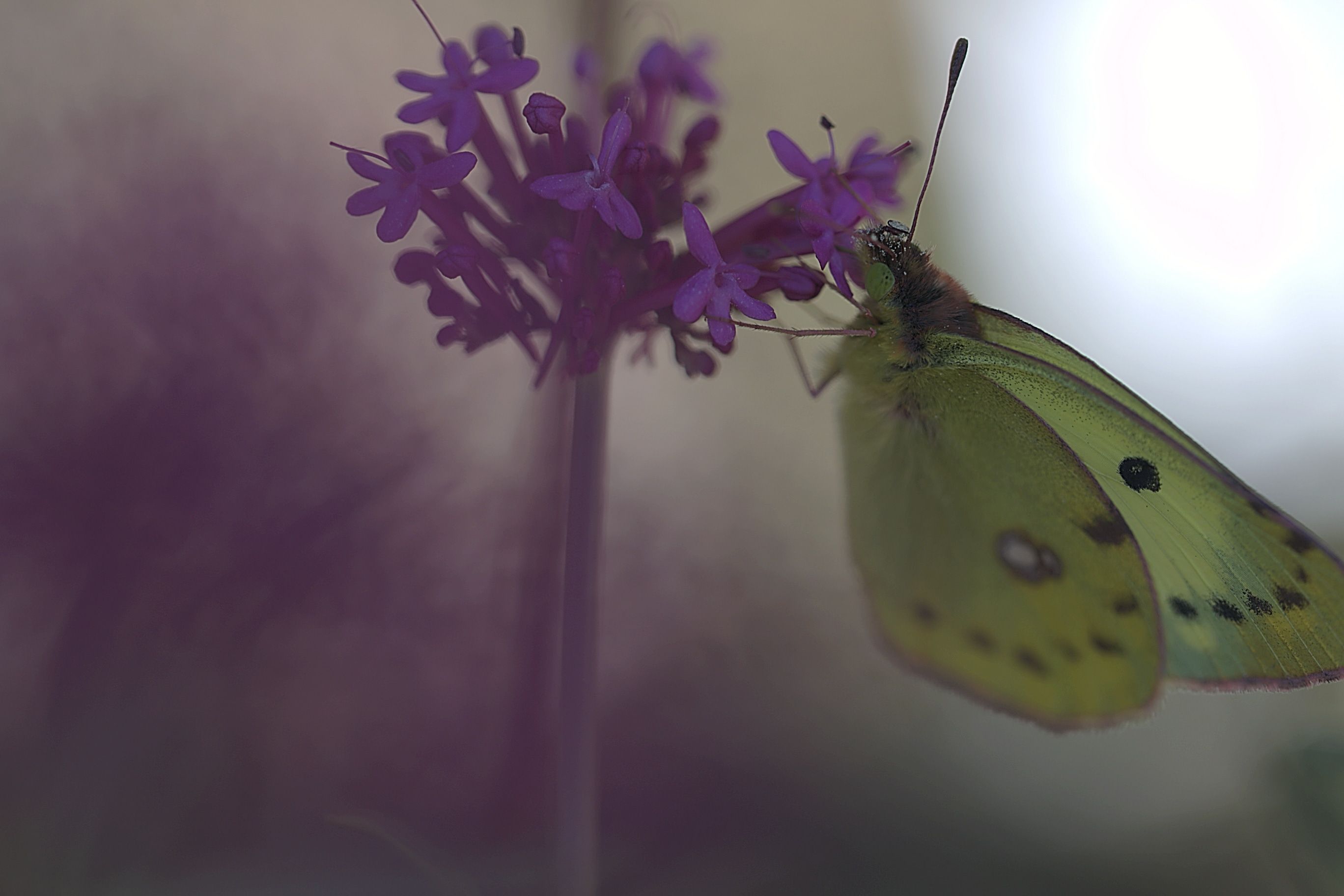 eyeemfiltered1631468274579.jpg