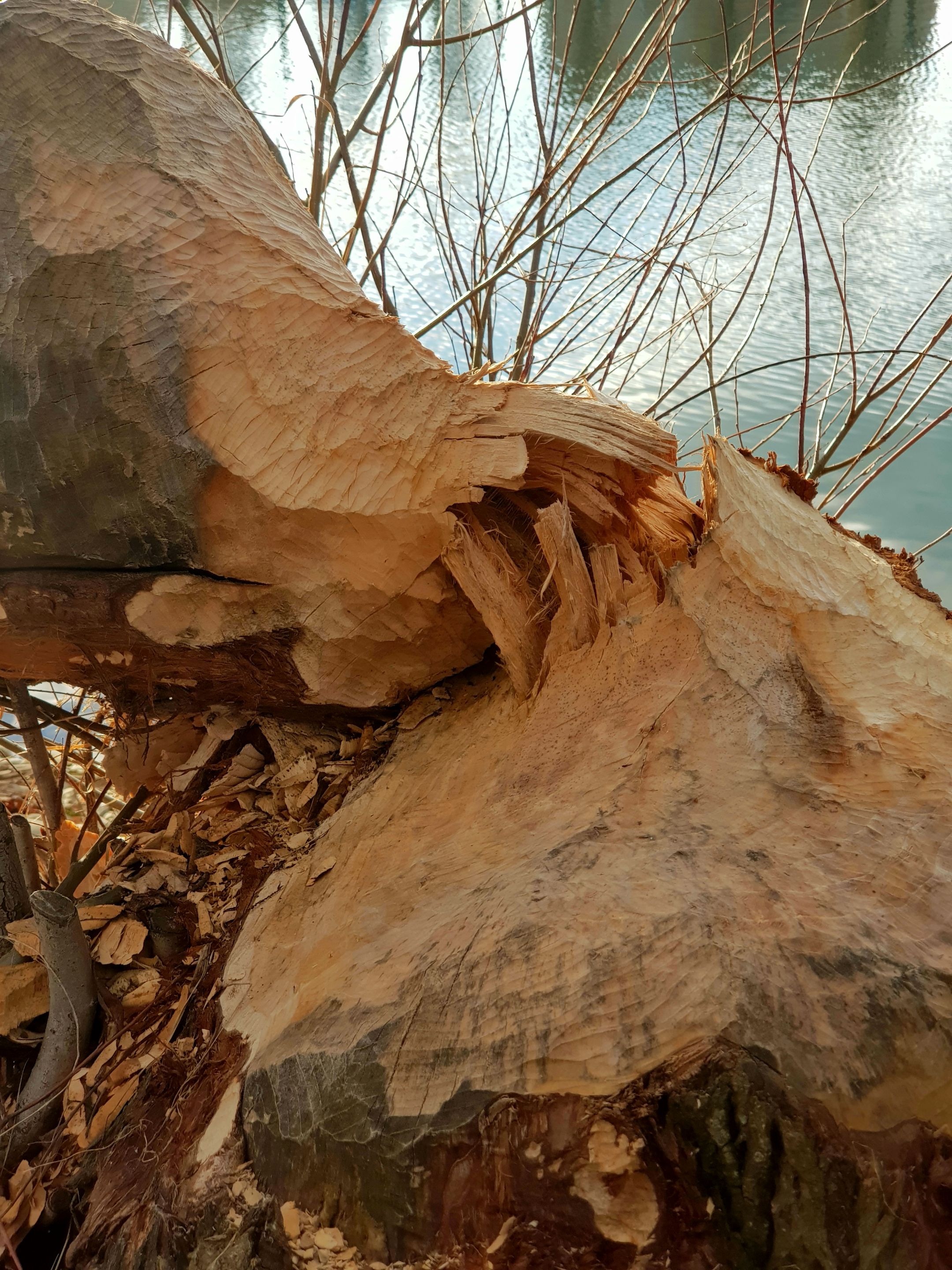 20220130_213425.jpg