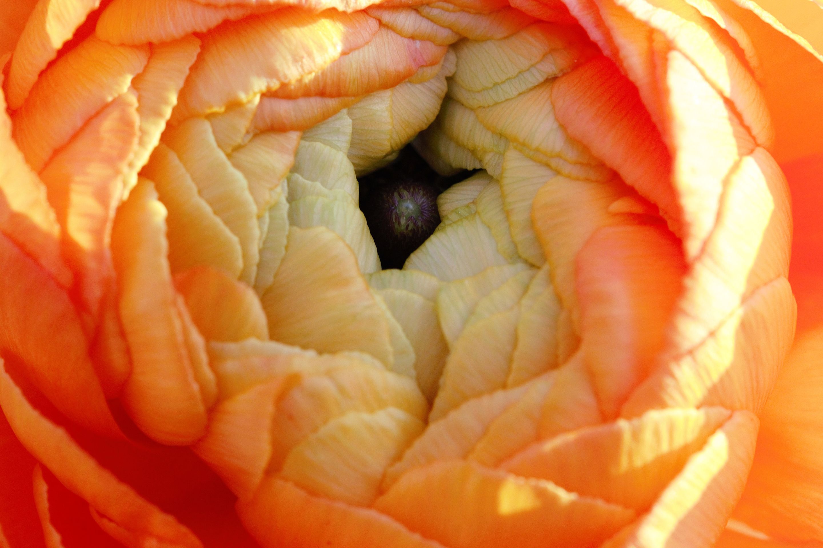 eyeemfiltered1642182010983.jpg