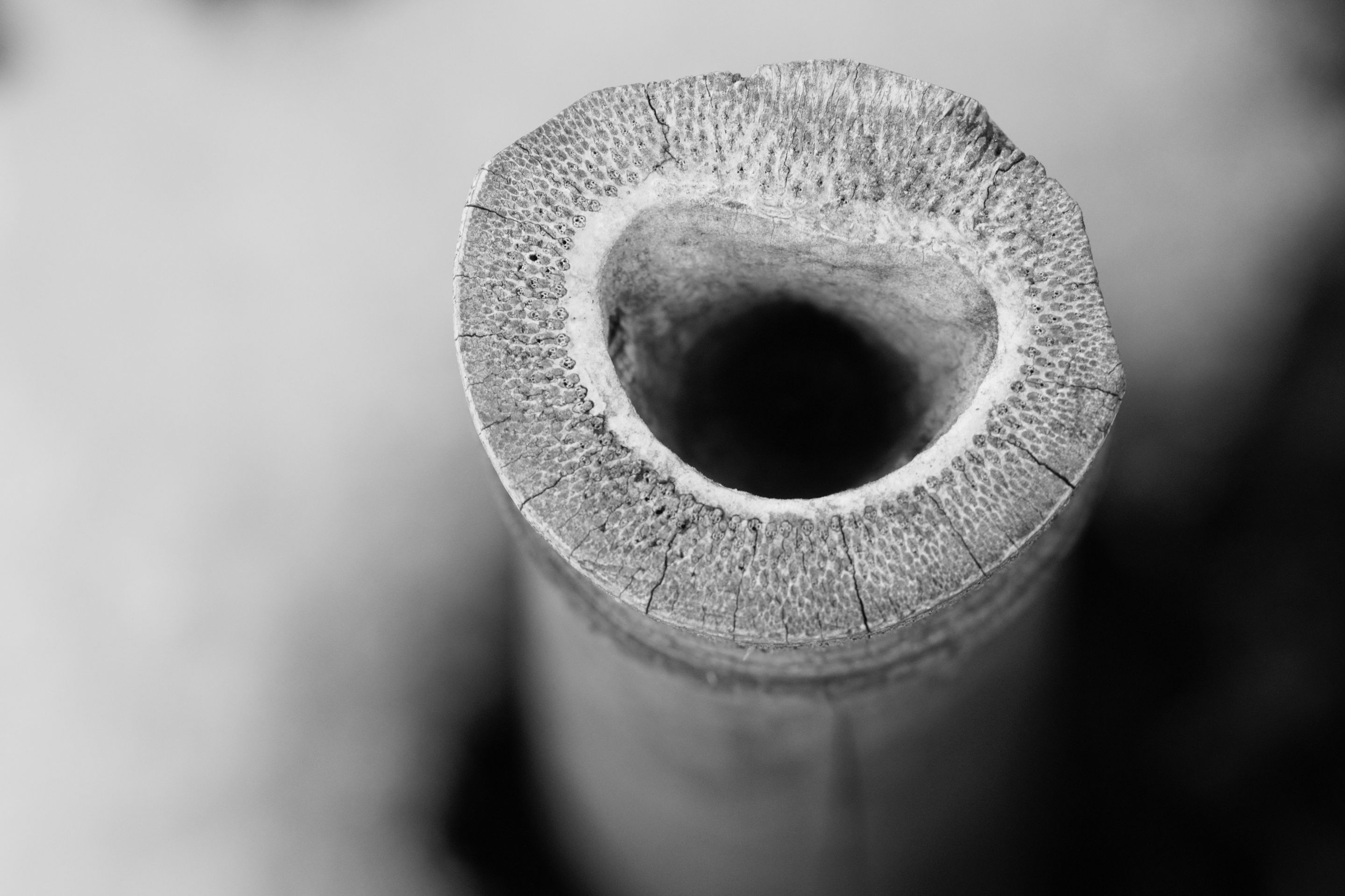 eyeemfiltered1642182909117.jpg
