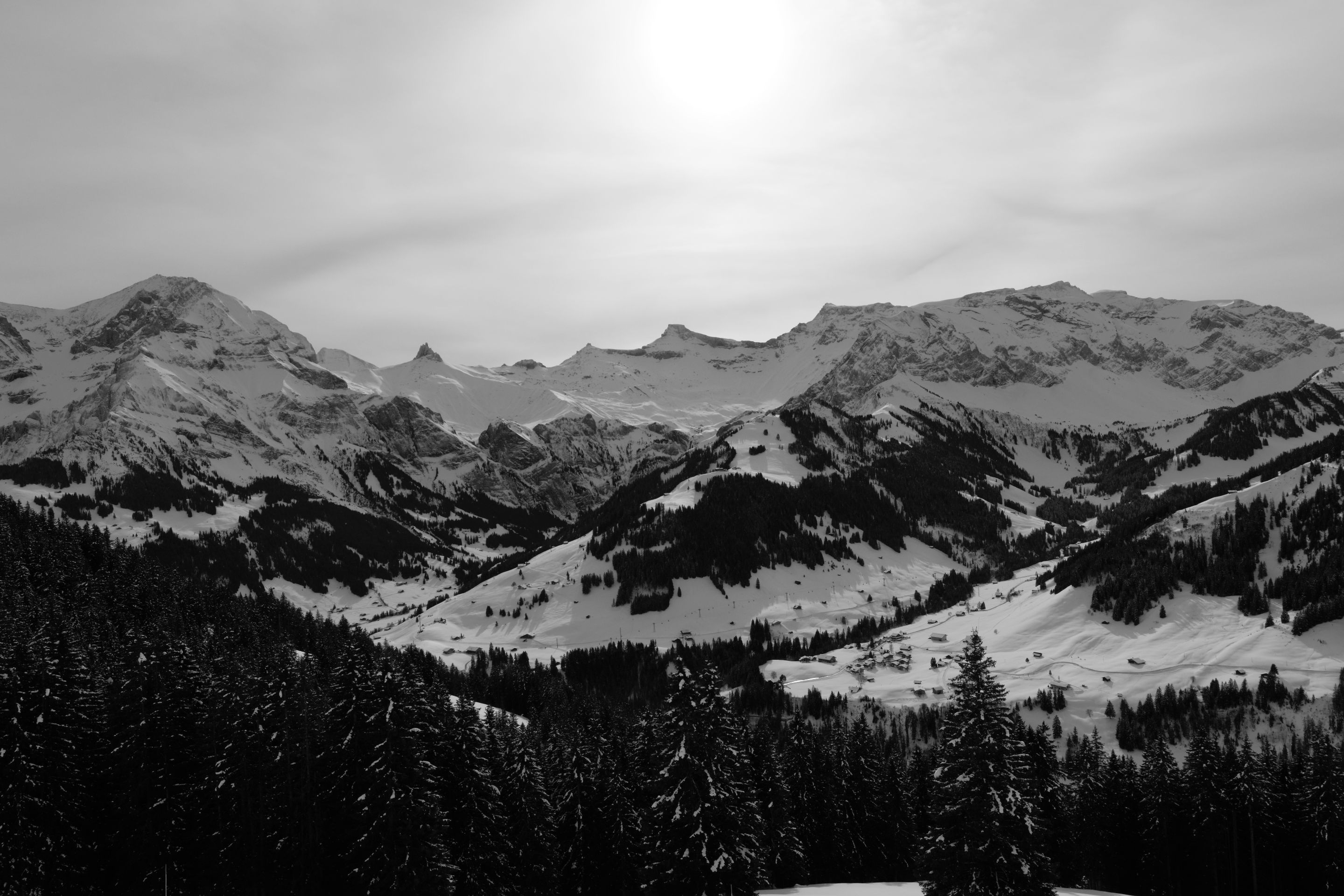 IMG_9940.jpg