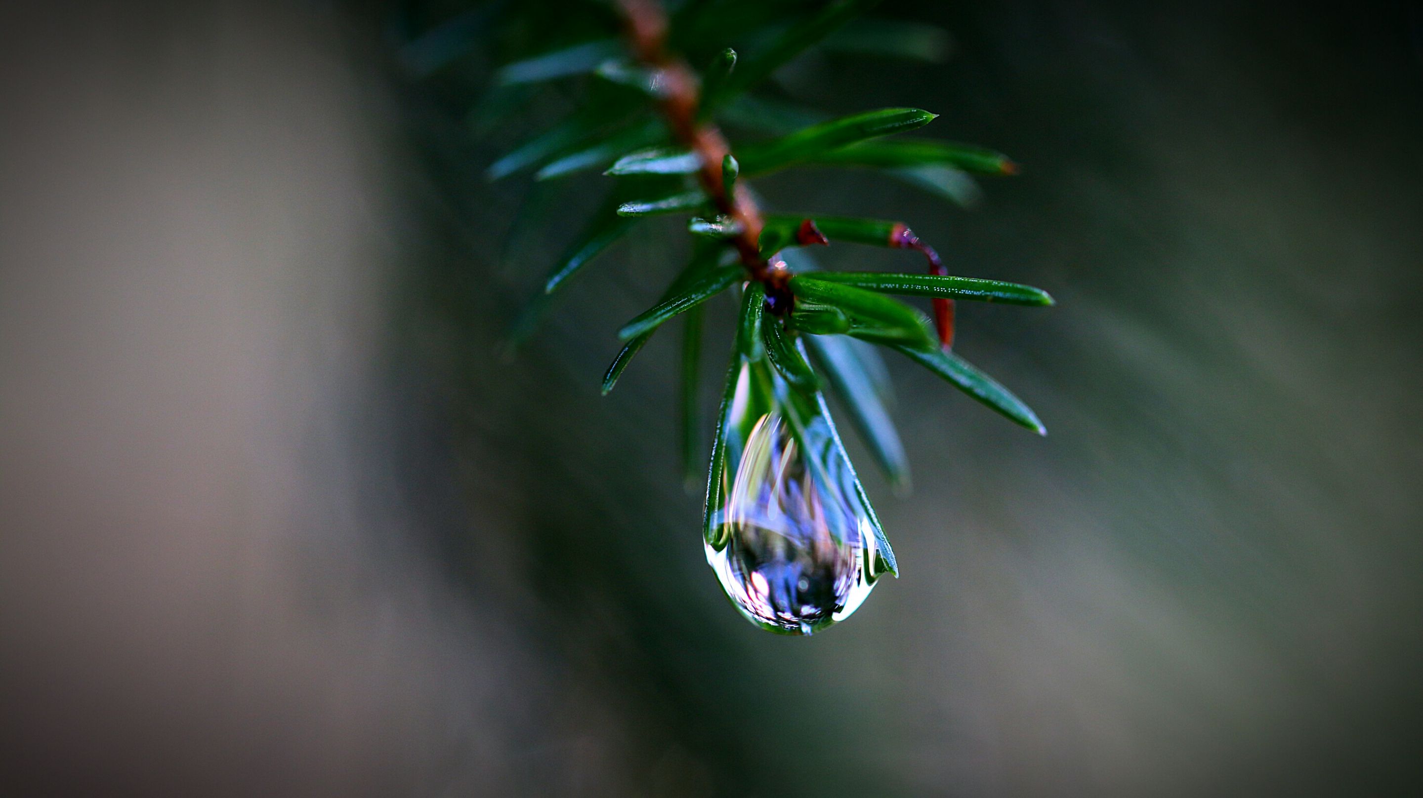 eyeemfiltered1515353834482.jpg