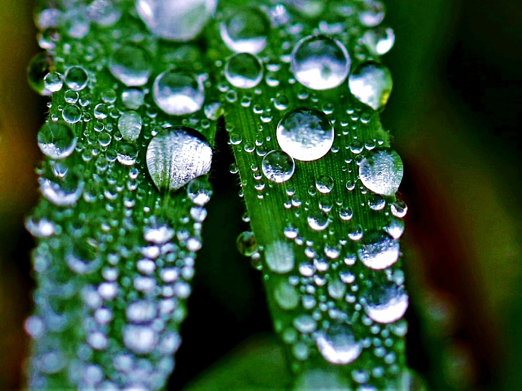 eyeemfiltered1528838597153.jpg