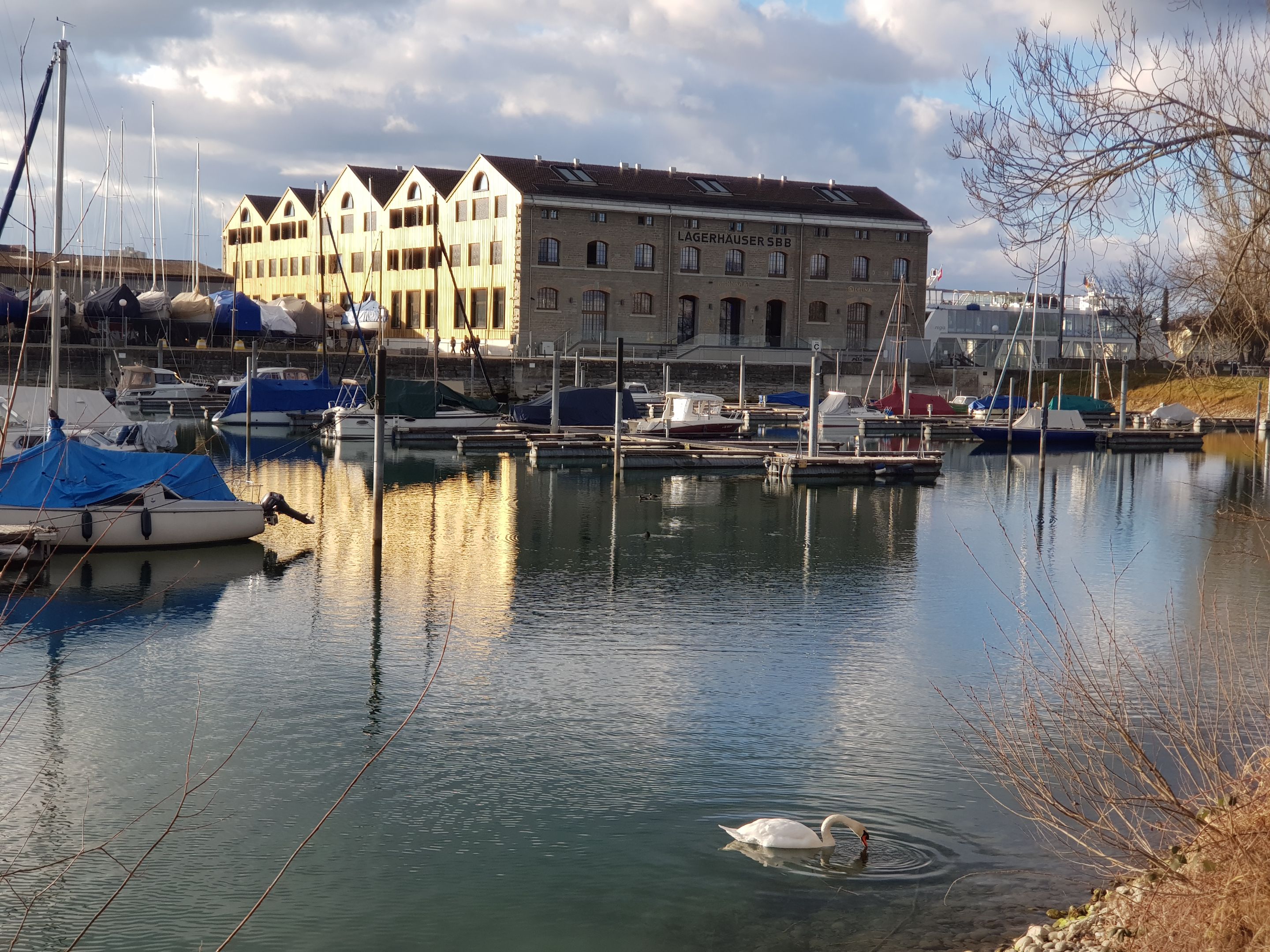 20220130_155052.jpg