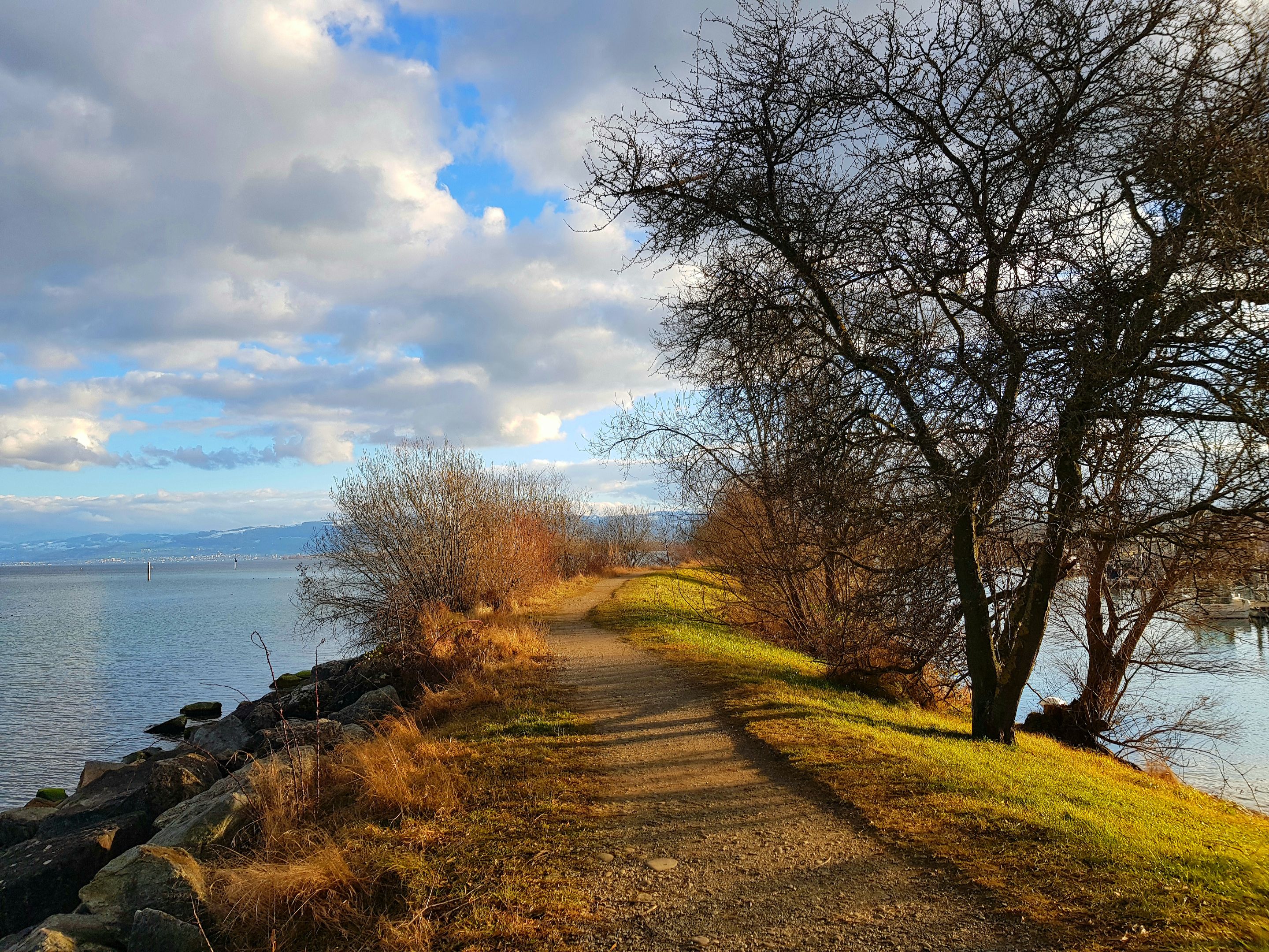 20220130_213555.jpg