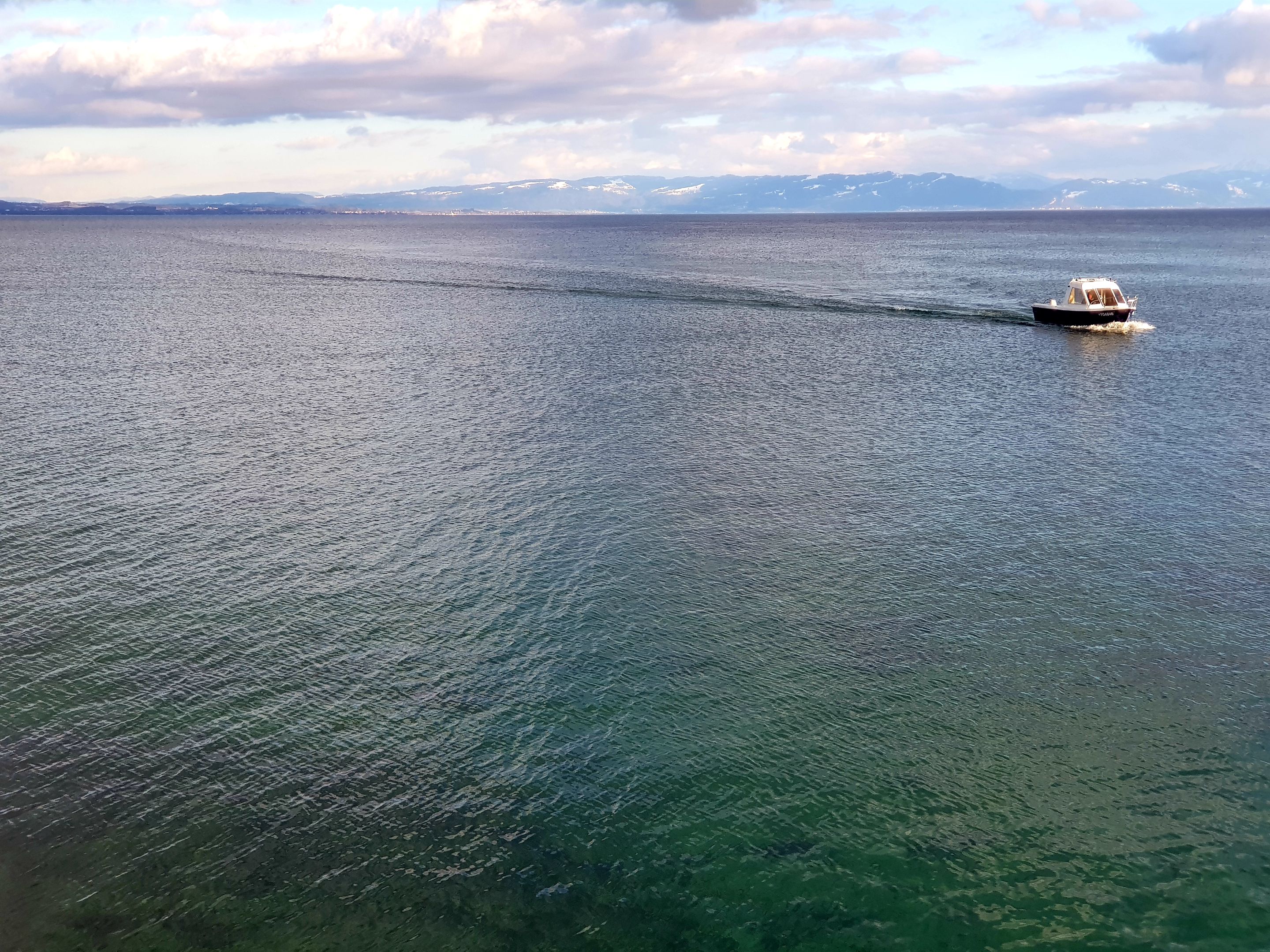 20220130_213142.jpg