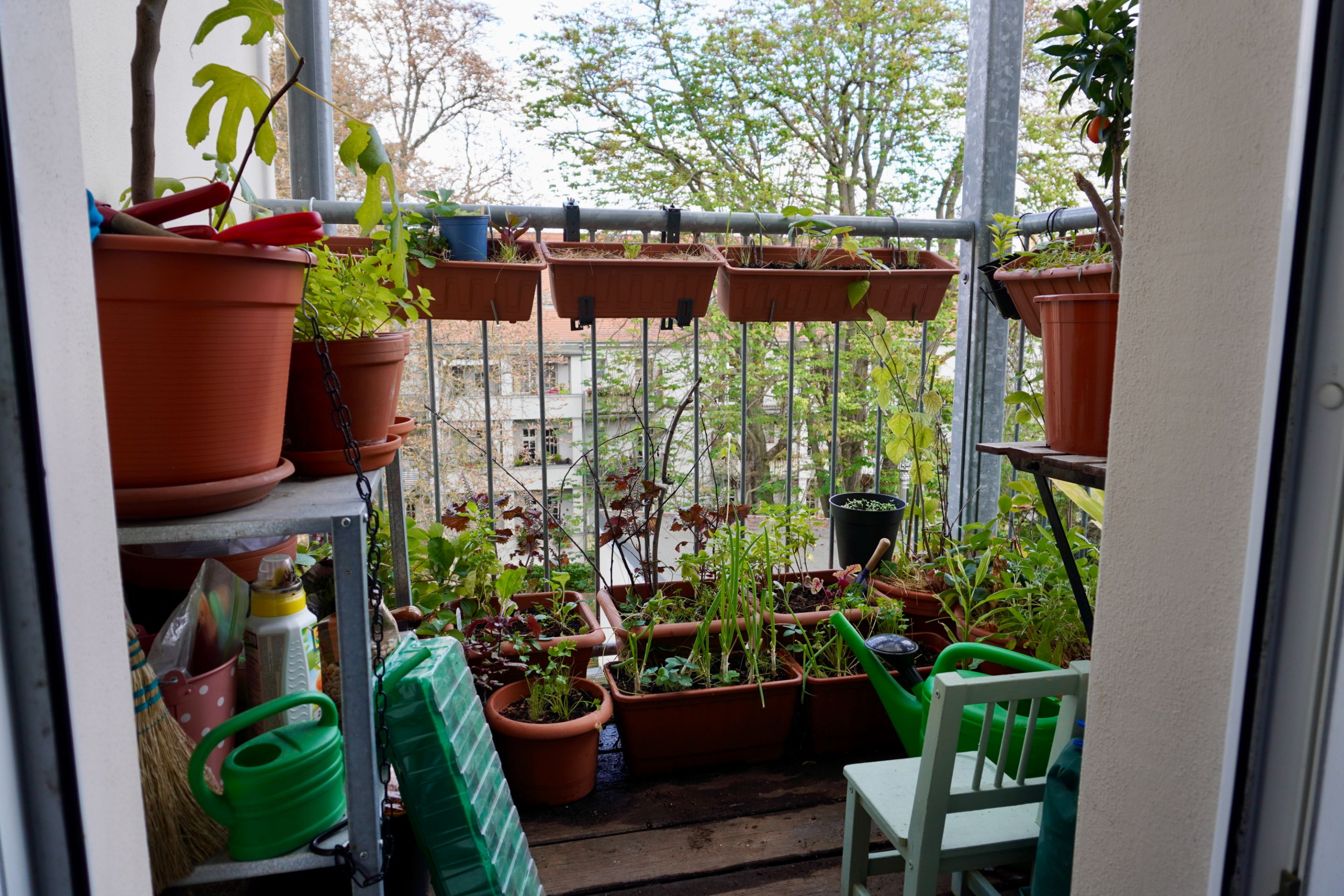 My micro-garden