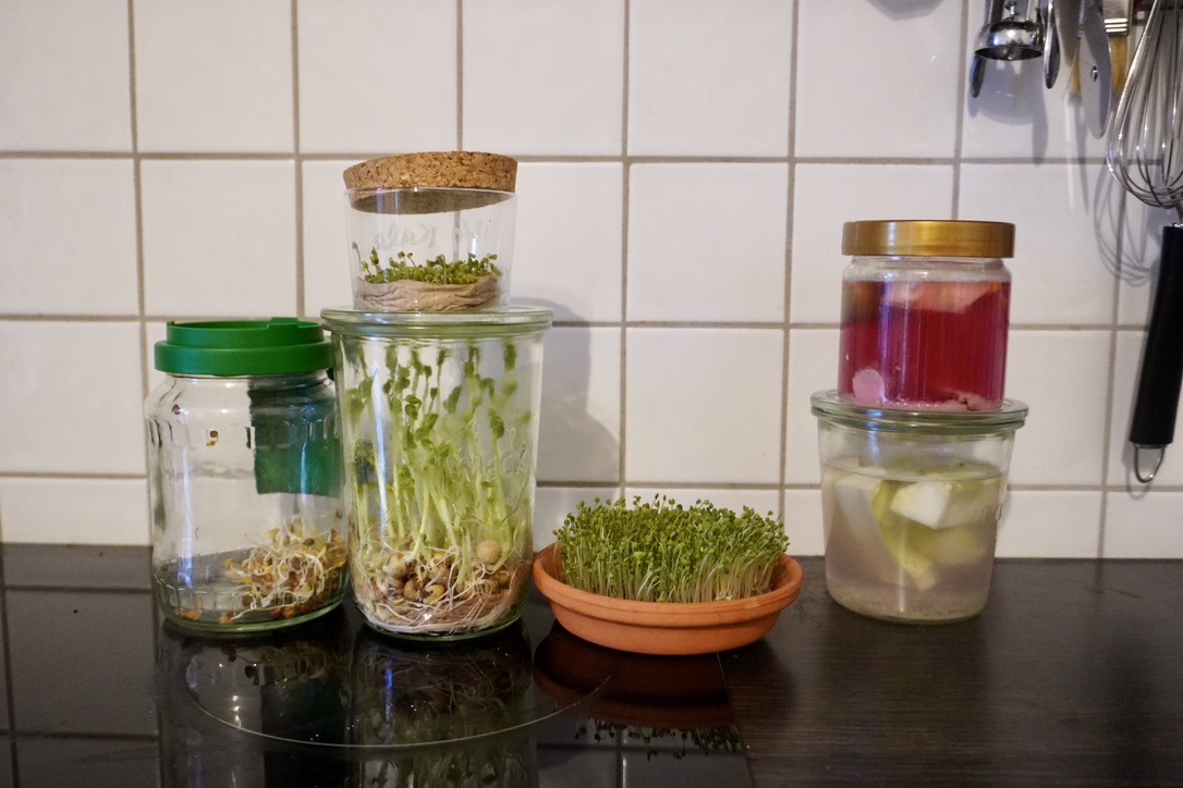 My home microgreen setup