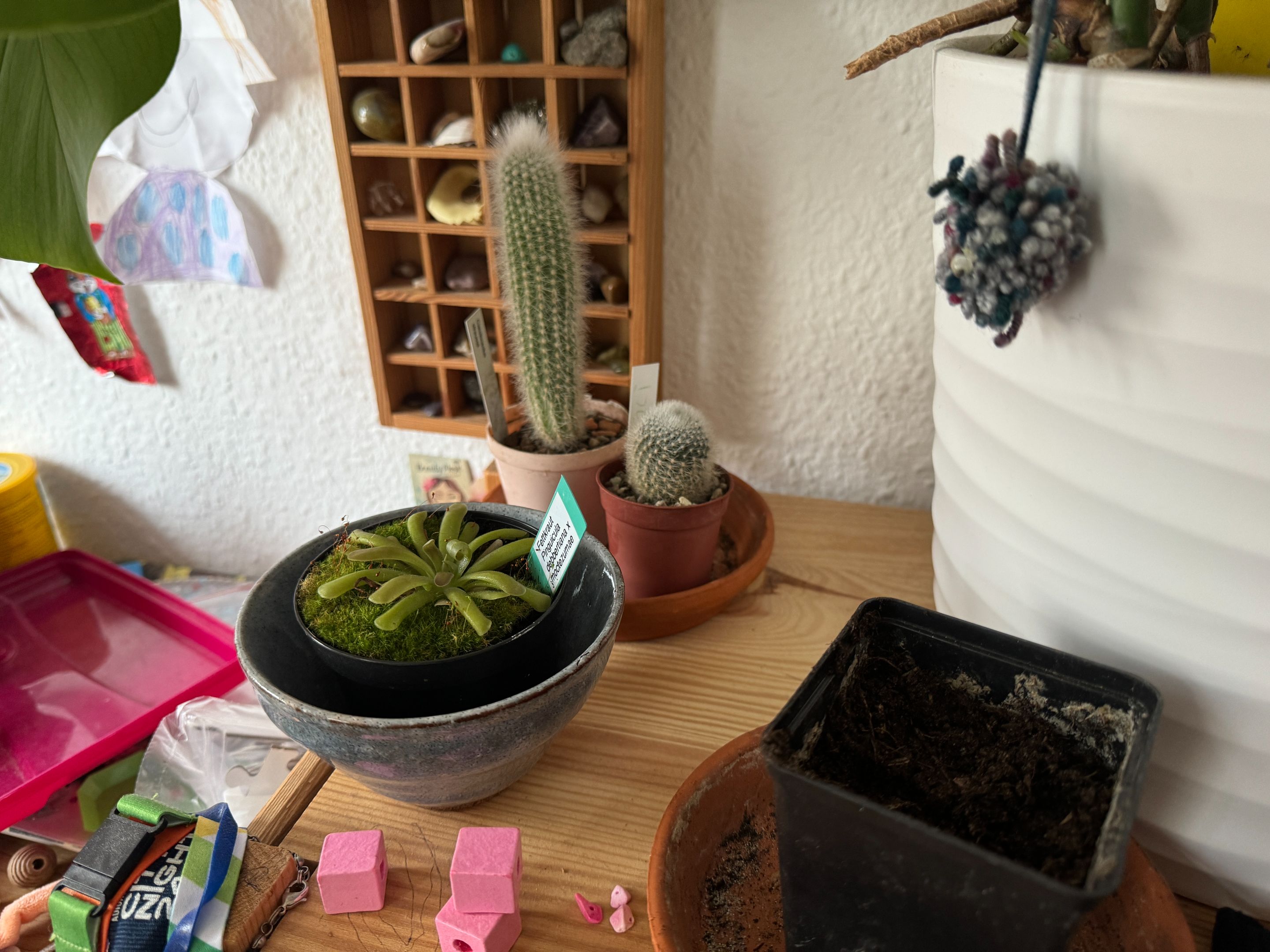 FA273697-6AF1-4A70-A331-E3B57984CB65.jpeg