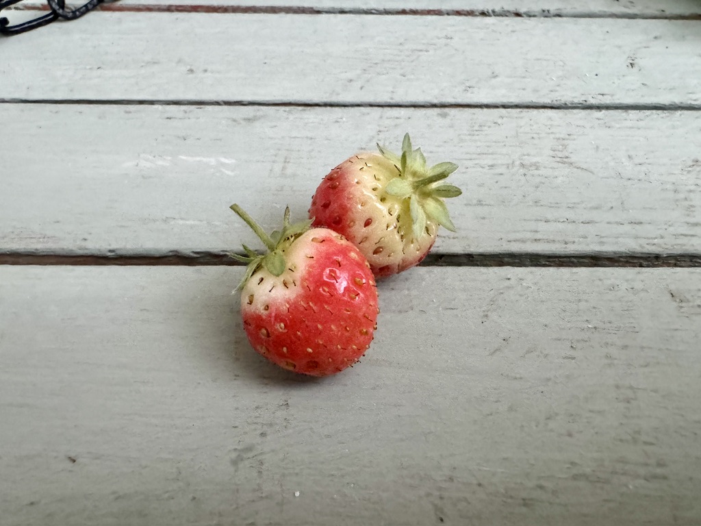 Strawberries