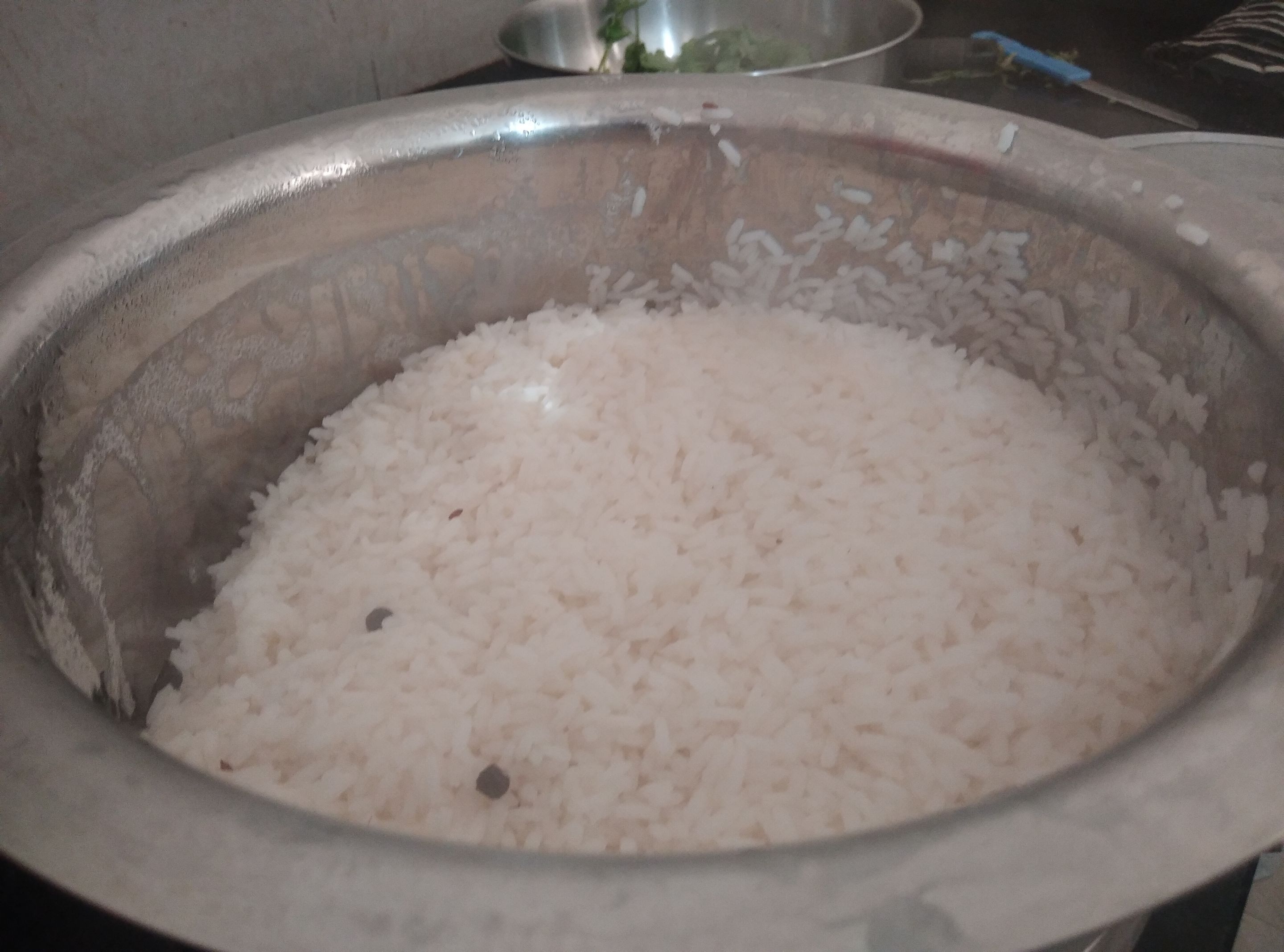 Half-Cooked-Rice.jpg