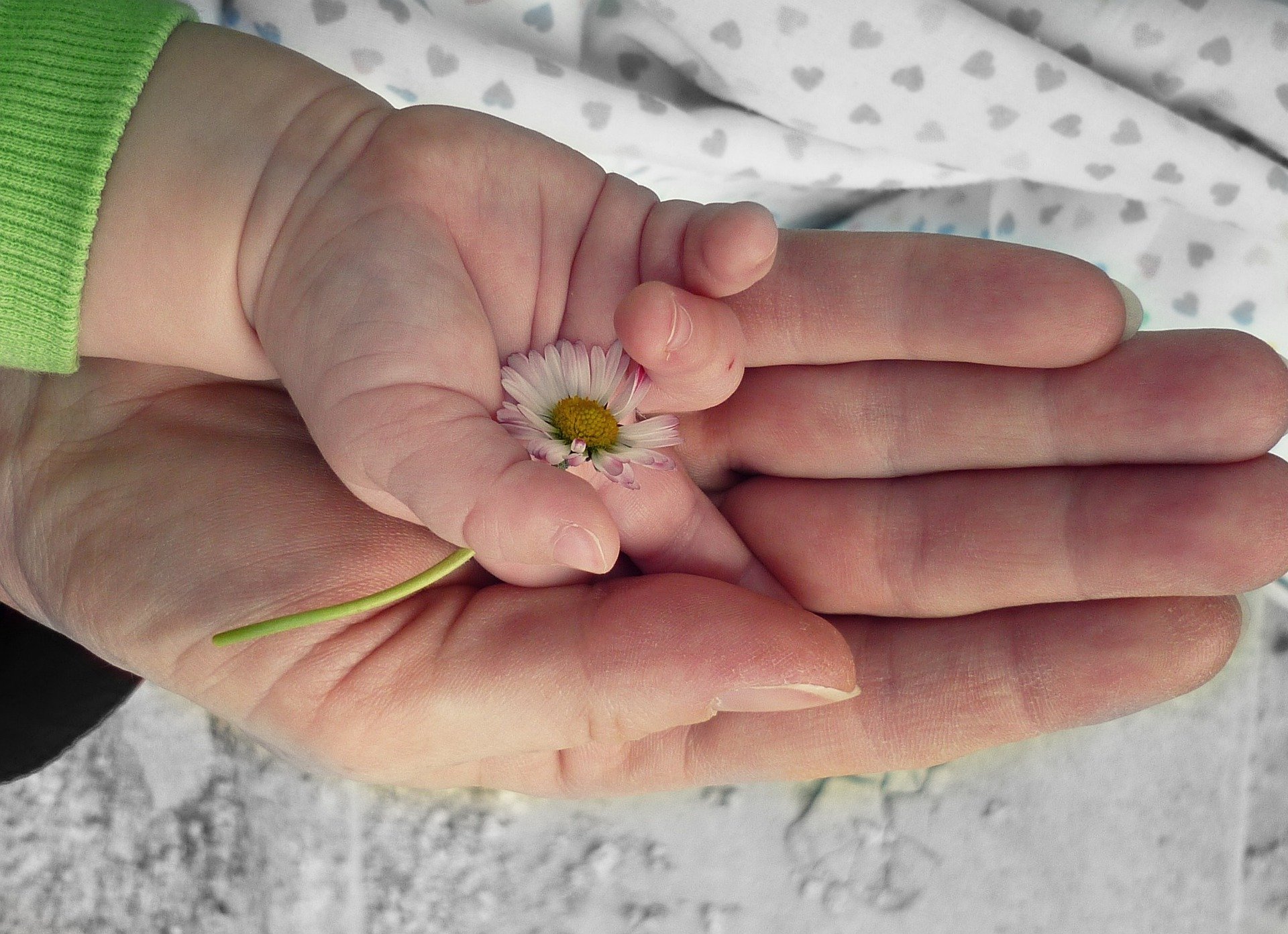 hands-105455_1920 (1).jpg