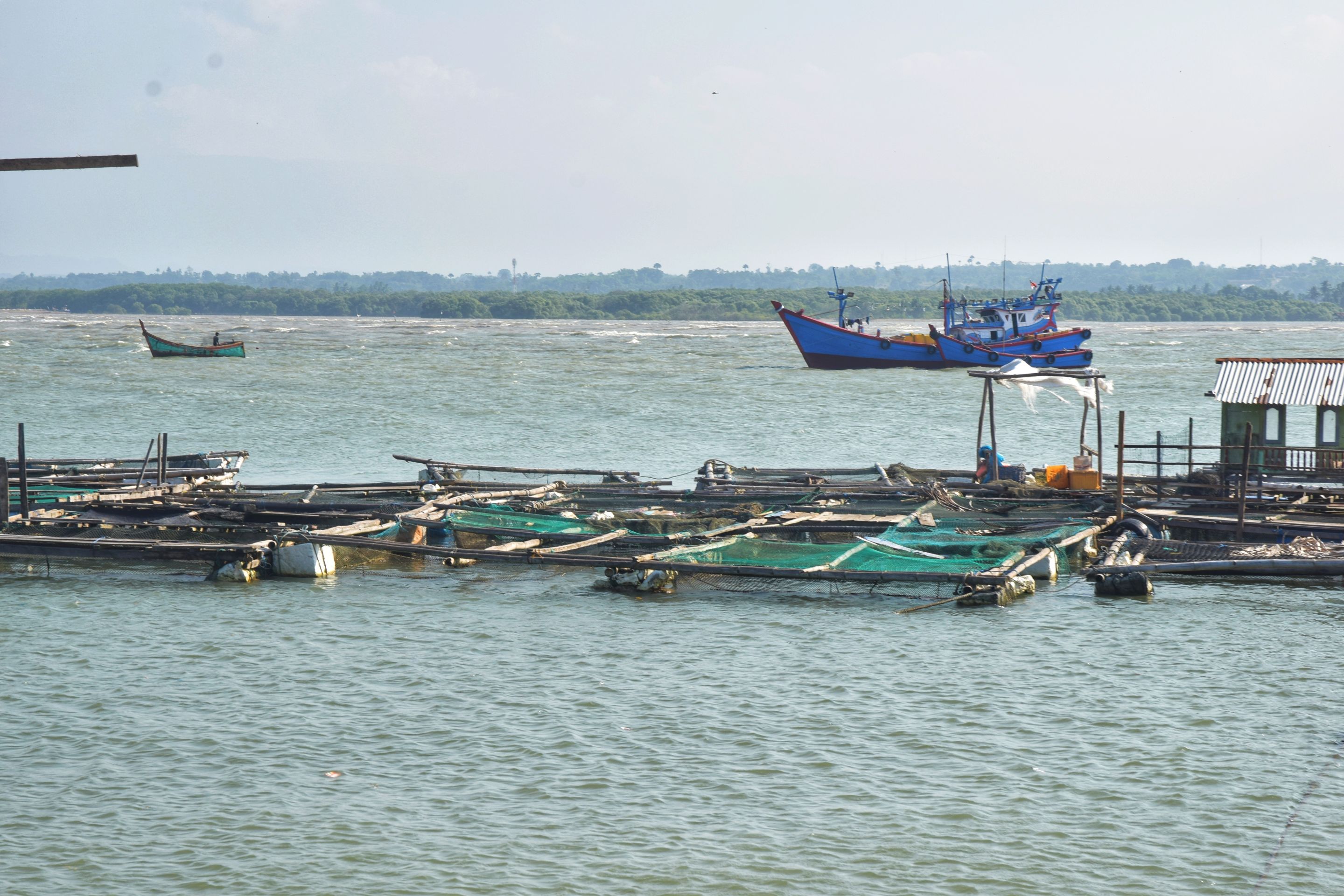 DSC_0254-01.jpeg
