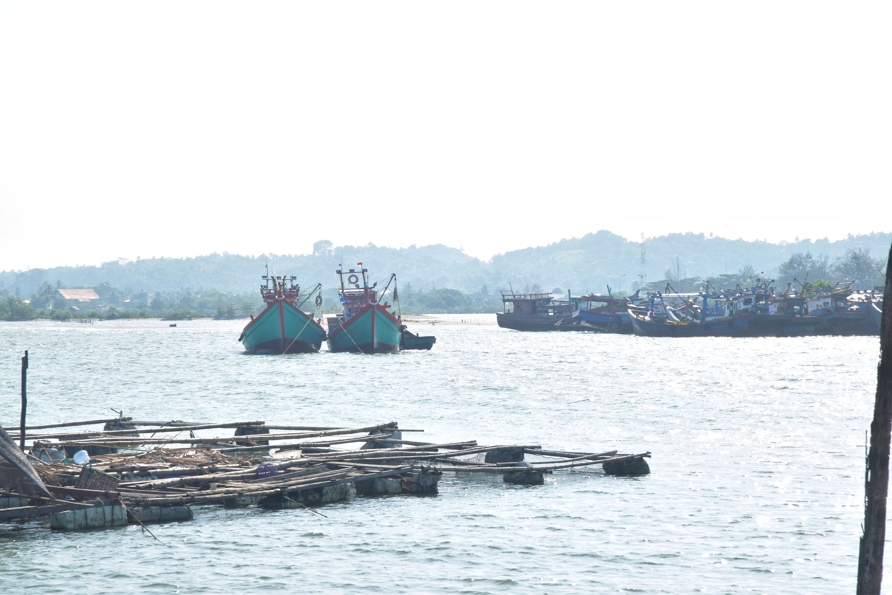 DSC_0252-01.jpeg