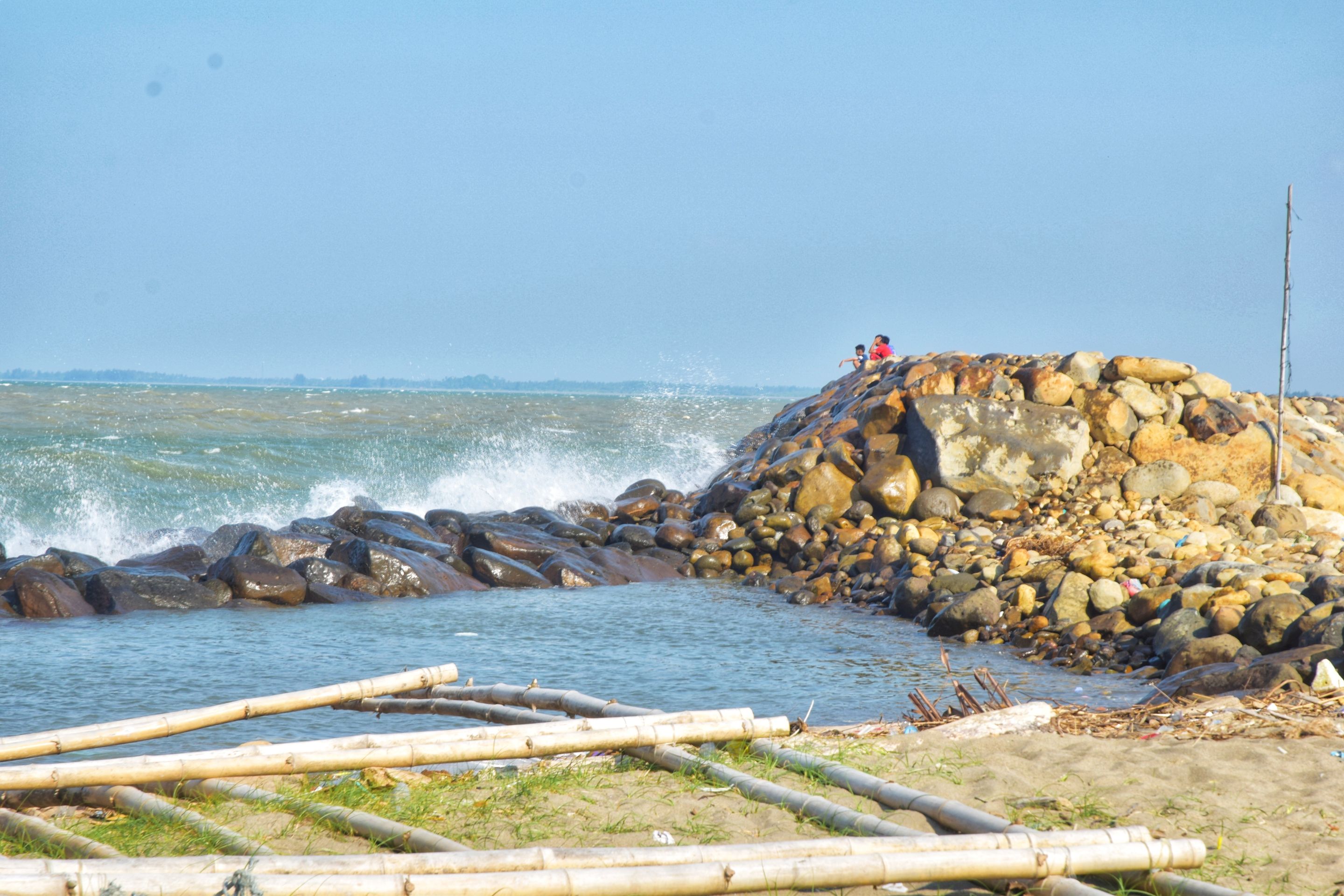 DSC_0250-01.jpeg