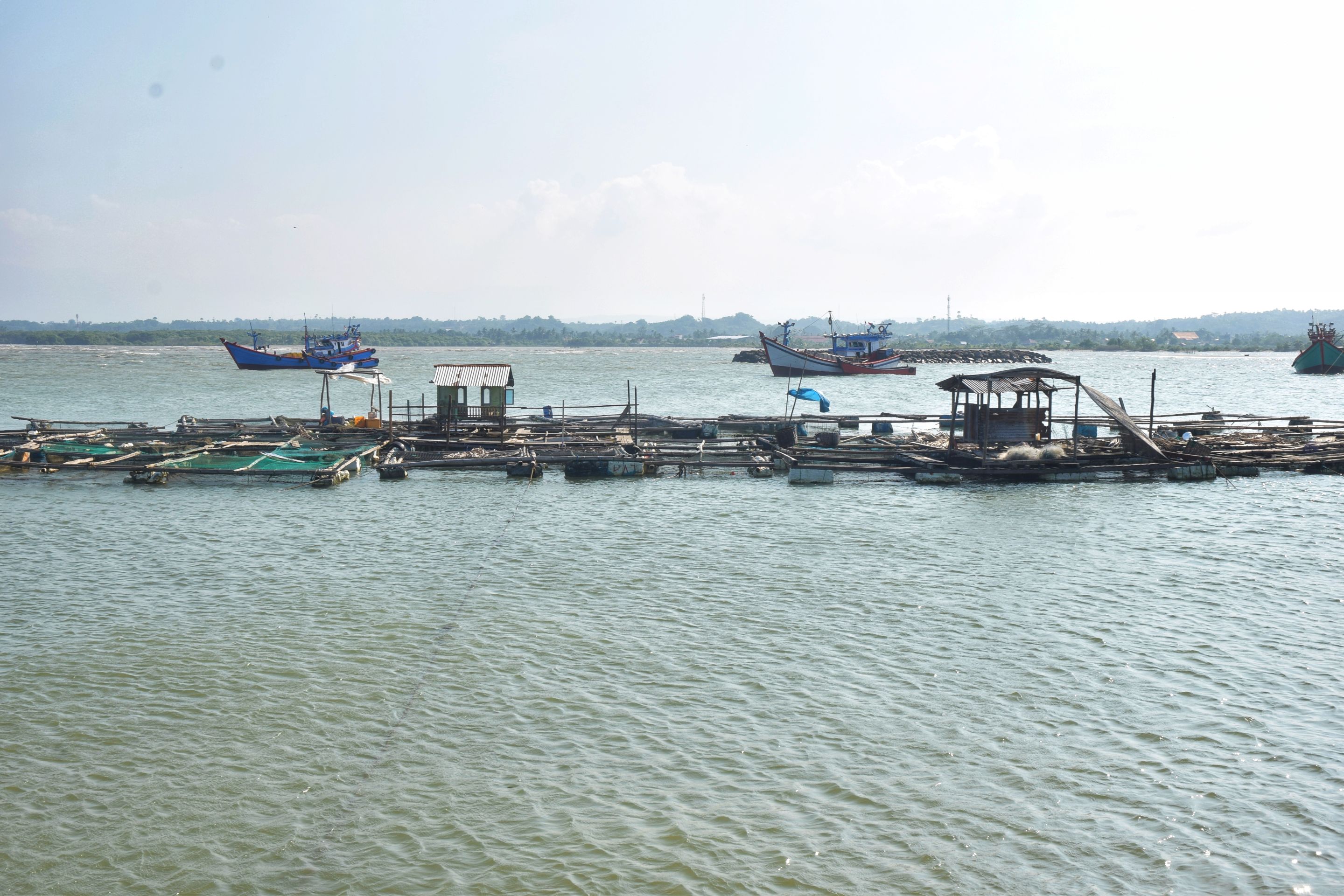 DSC_0253-02.jpeg