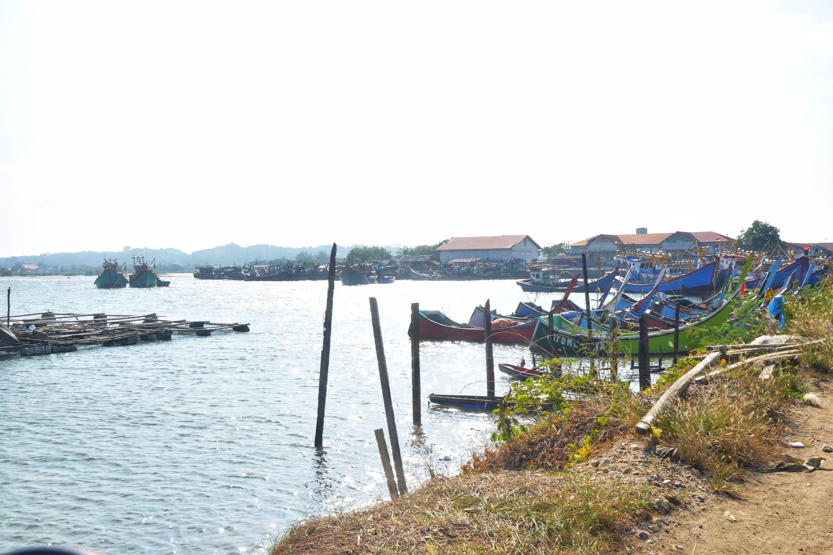 DSC_0251-01.jpeg