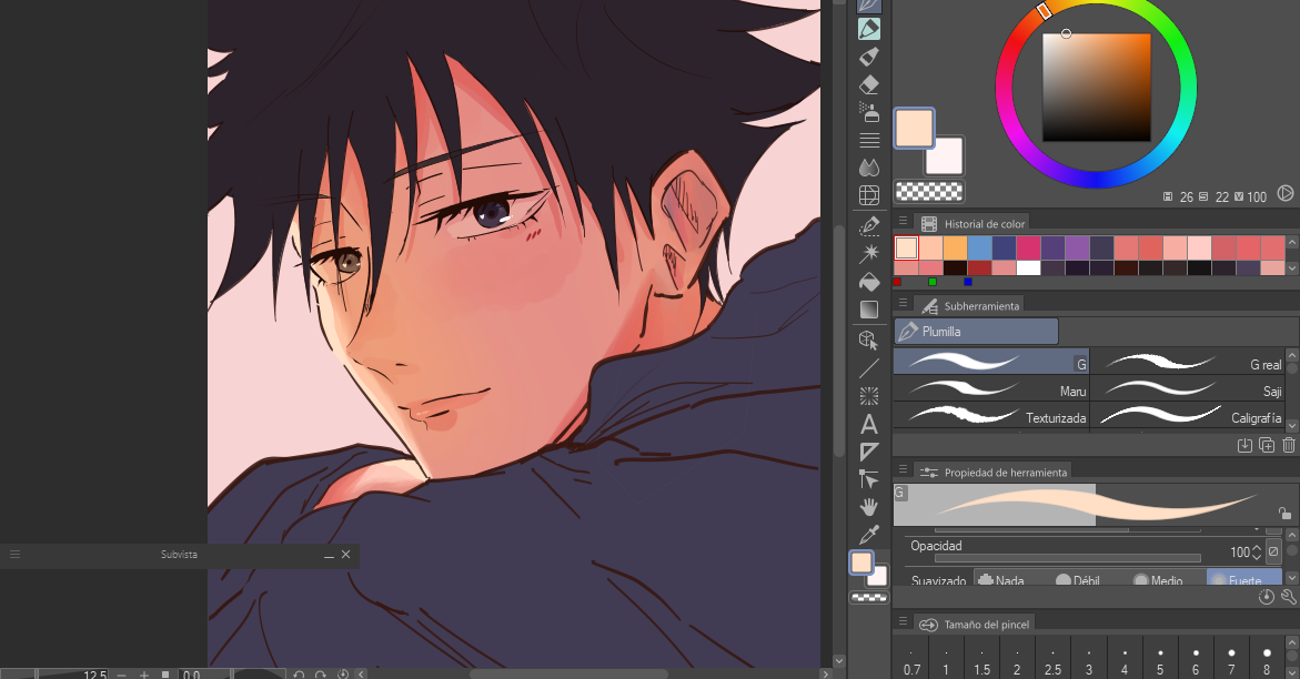 piel.png