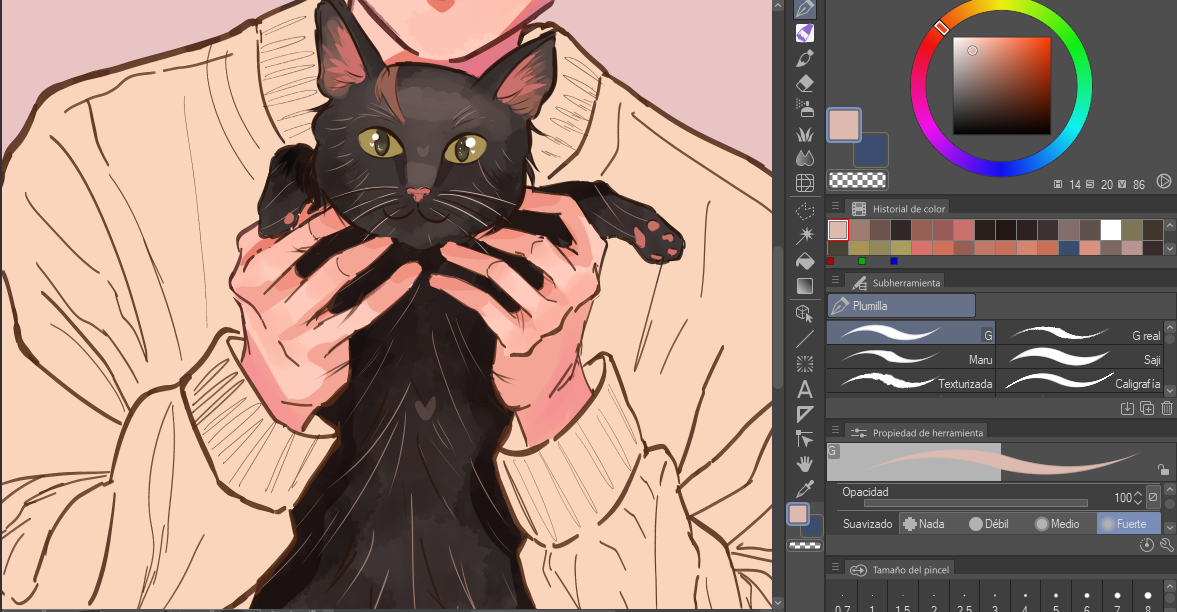 gato.png