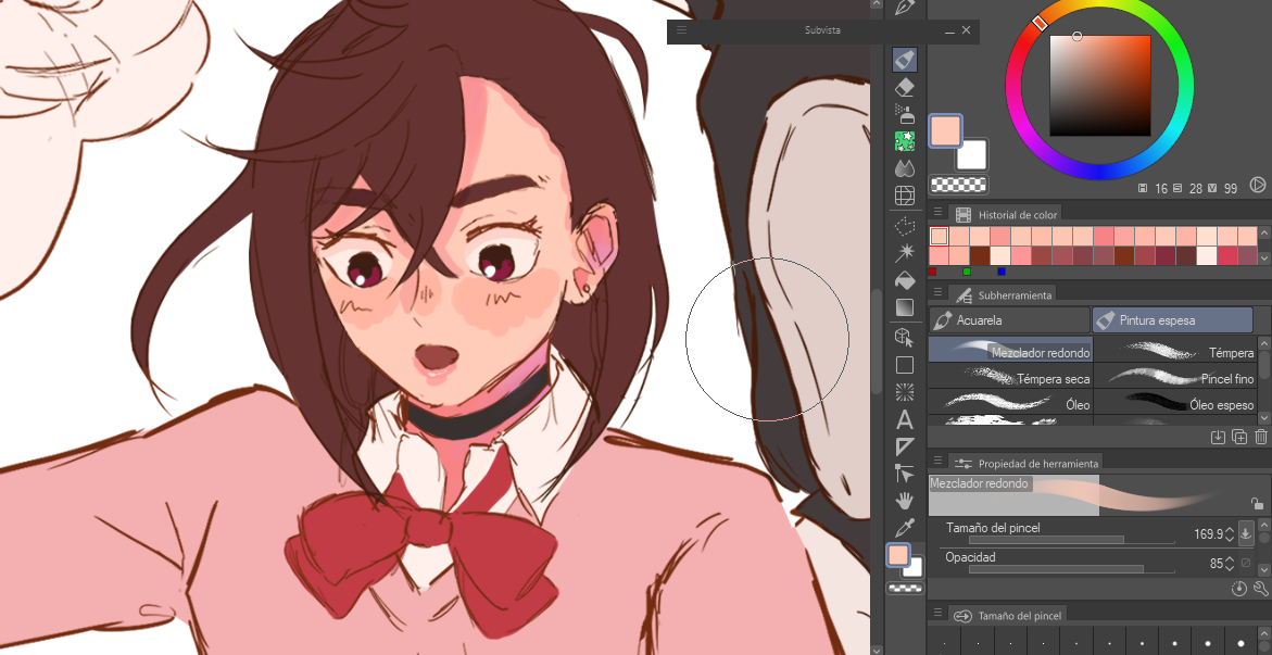 momo piel 2.png