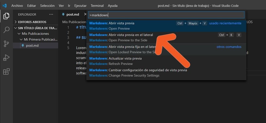 previsualizadormarkdown.png
