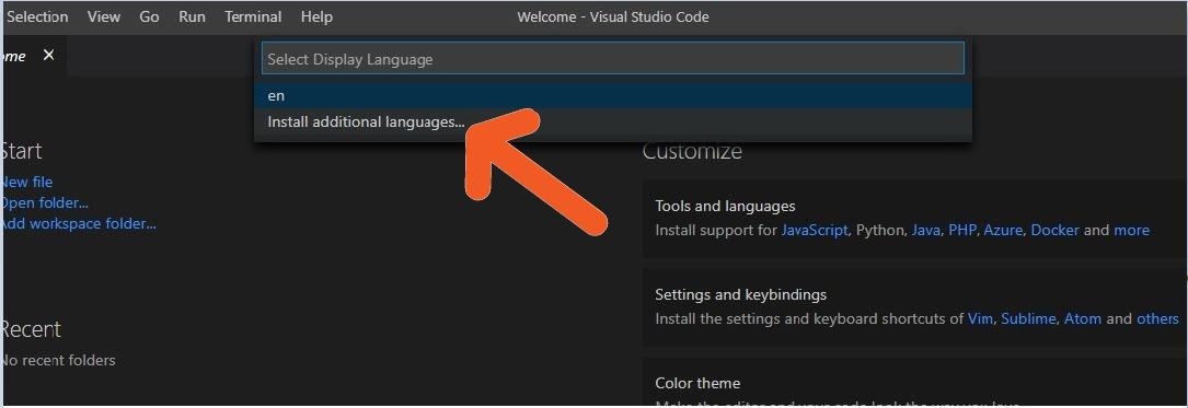installlenguagevs.jpg