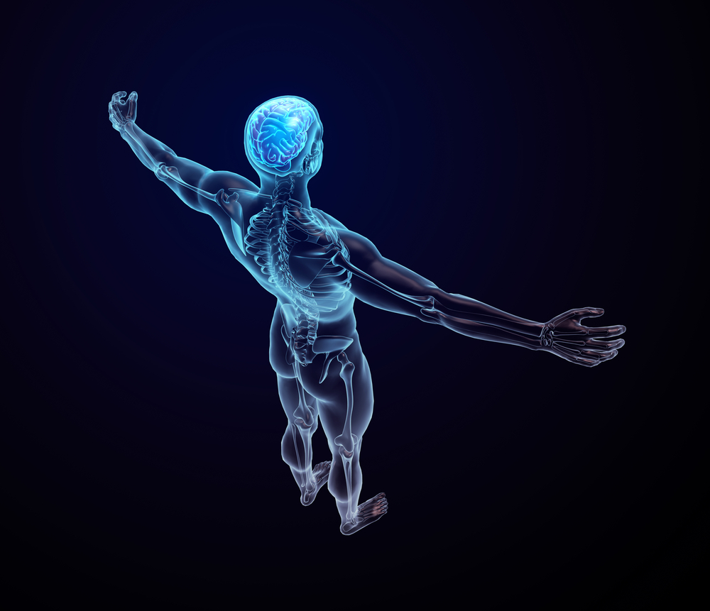 humanbody.jpg/