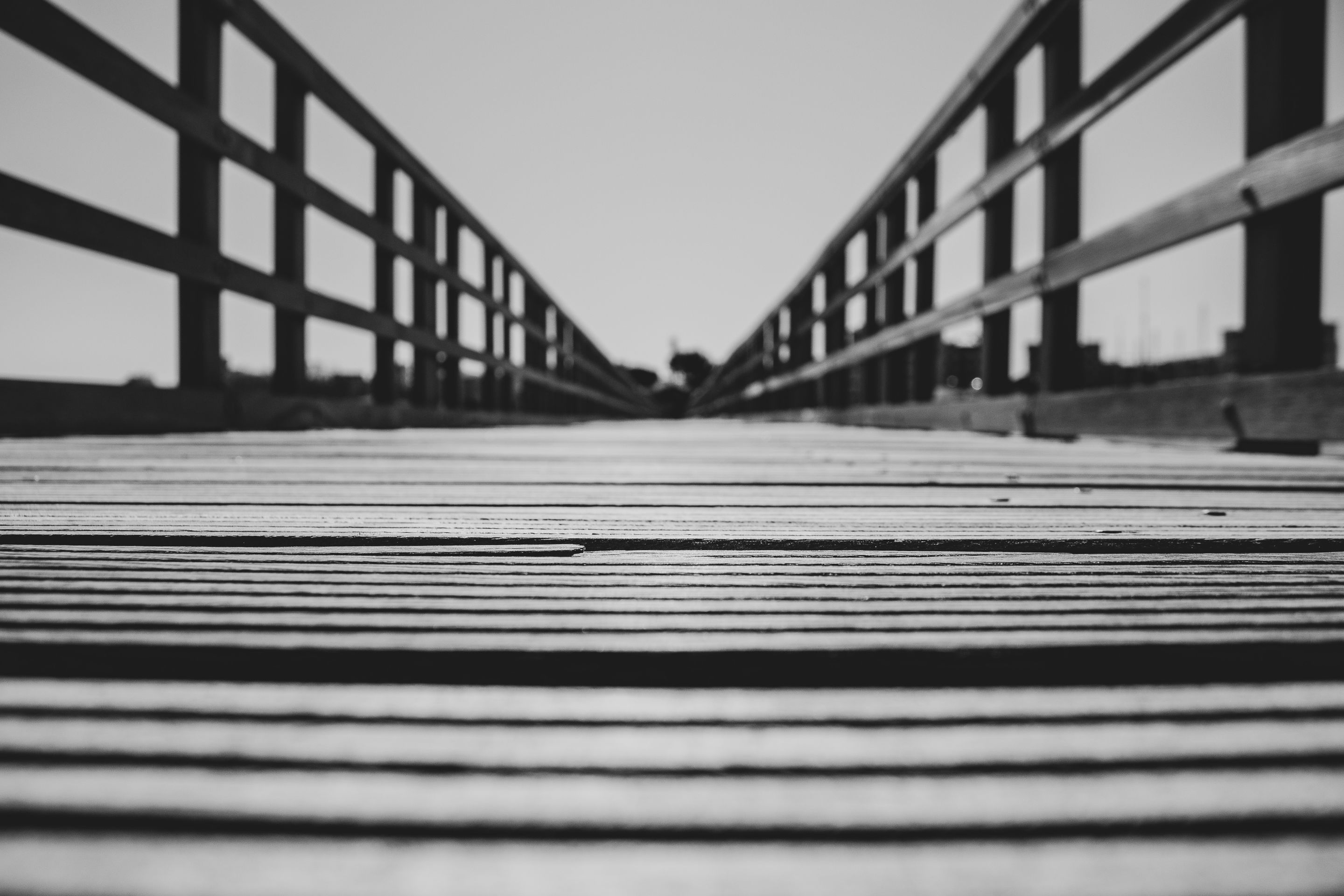 lignano_bay-3419.jpg