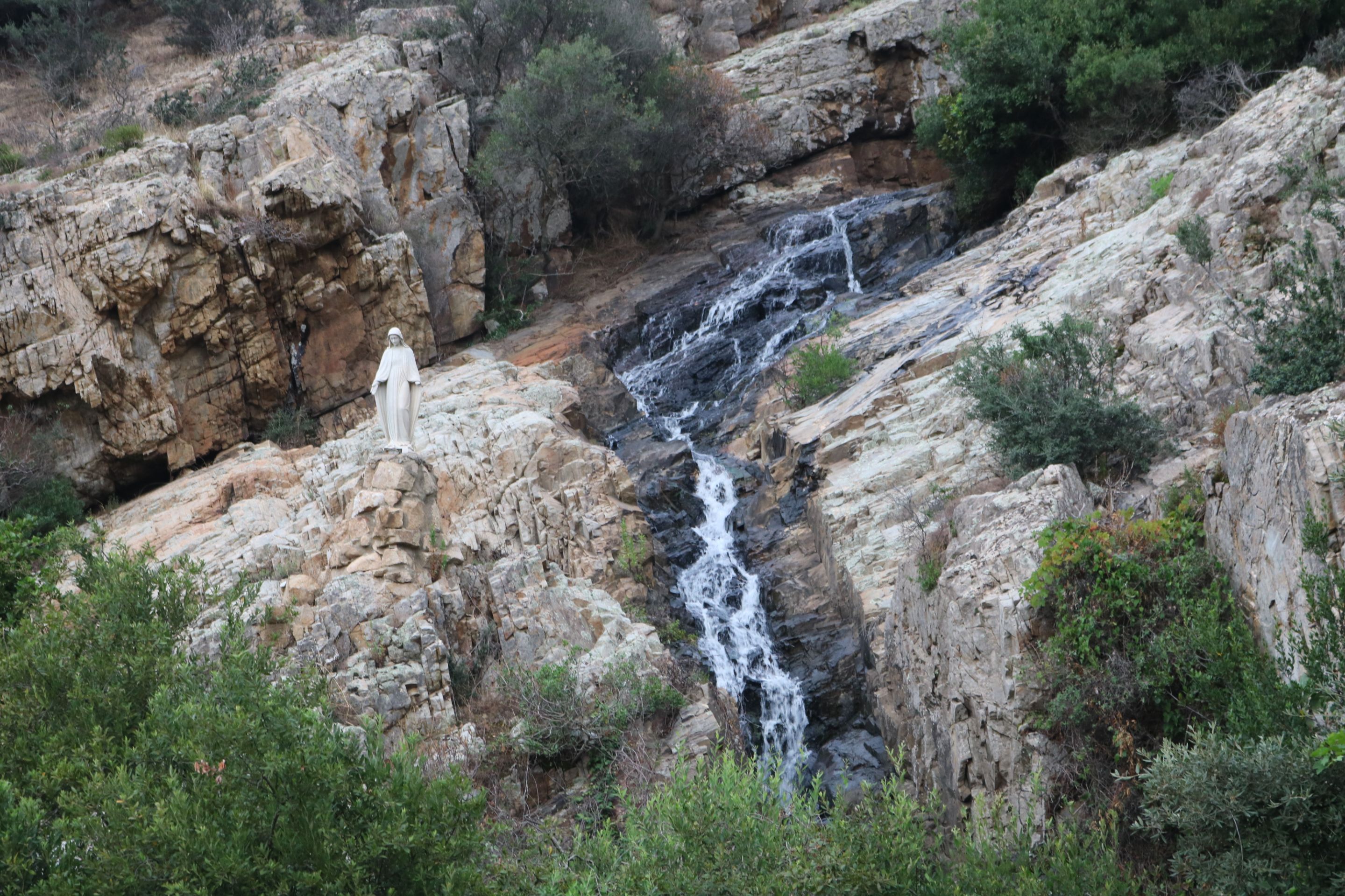 IMG_8947.JPG